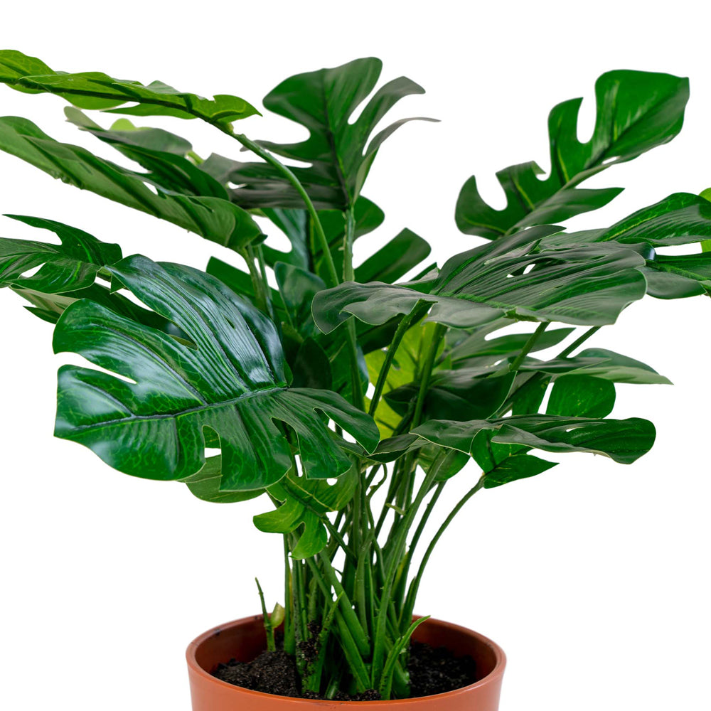 Sztuczny kwiat Derbidly Monstera 45 cm
