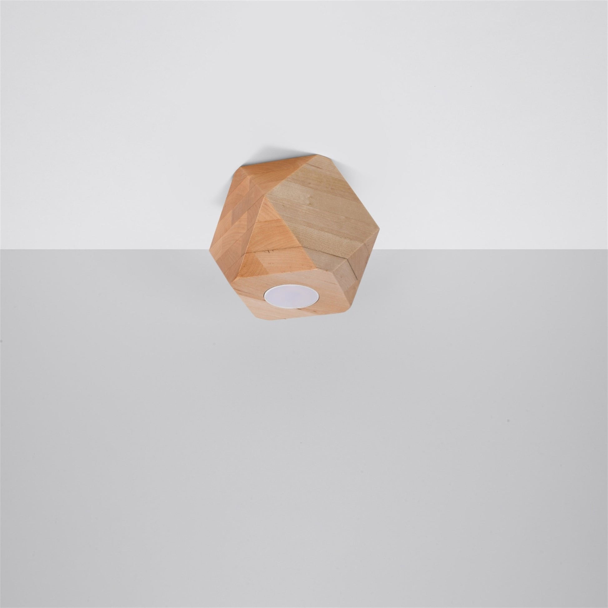 1009_2_k