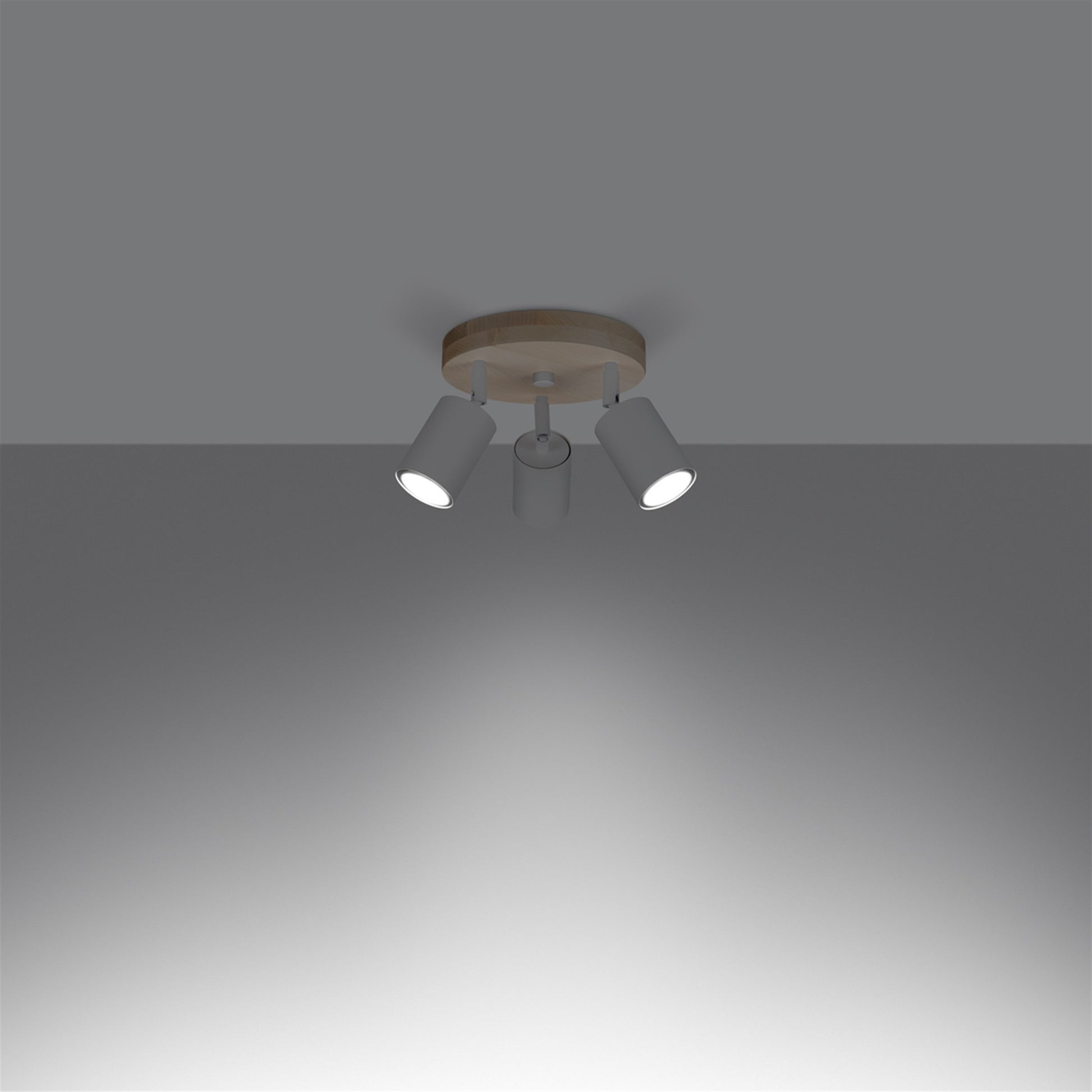 1287_3_k