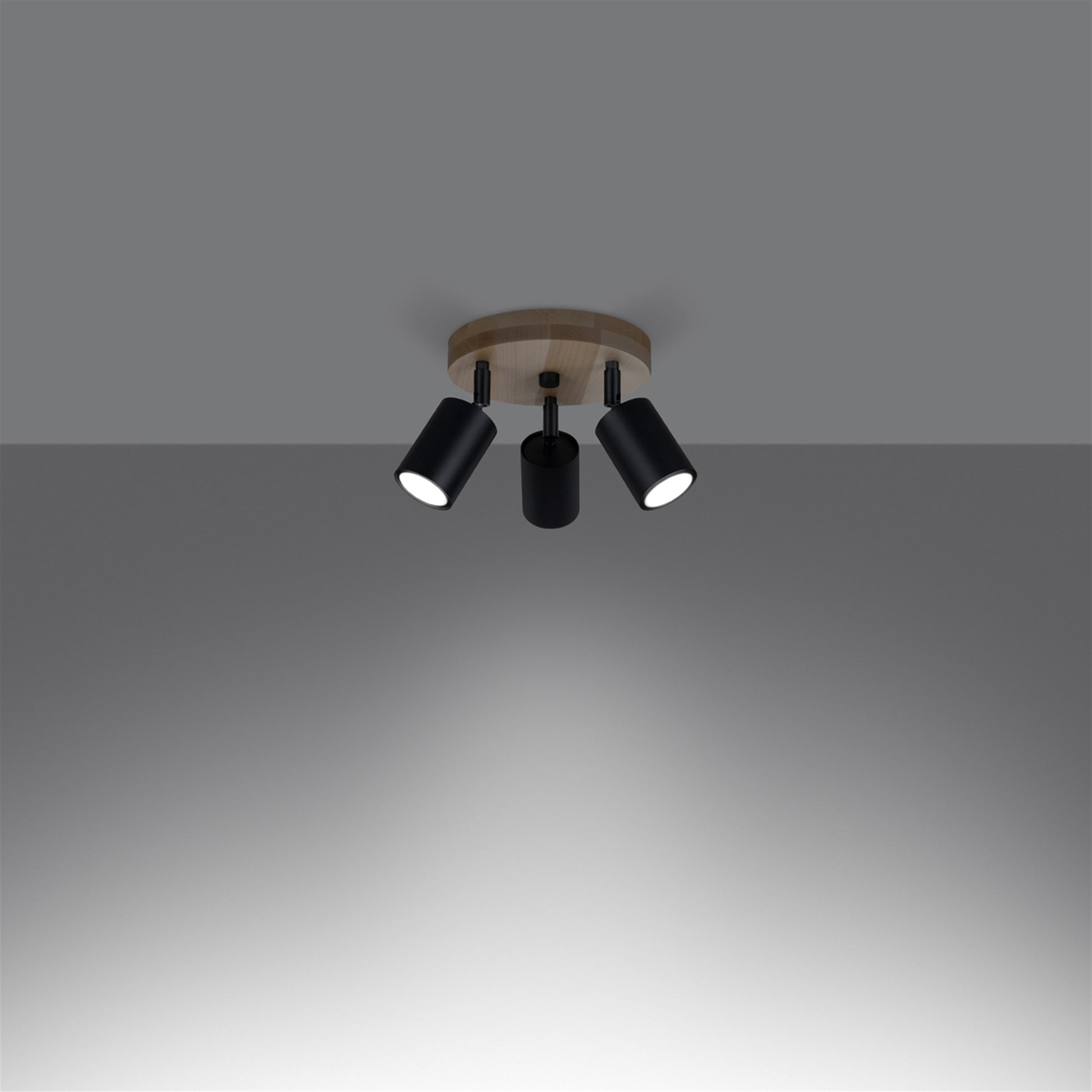 1292_3_k