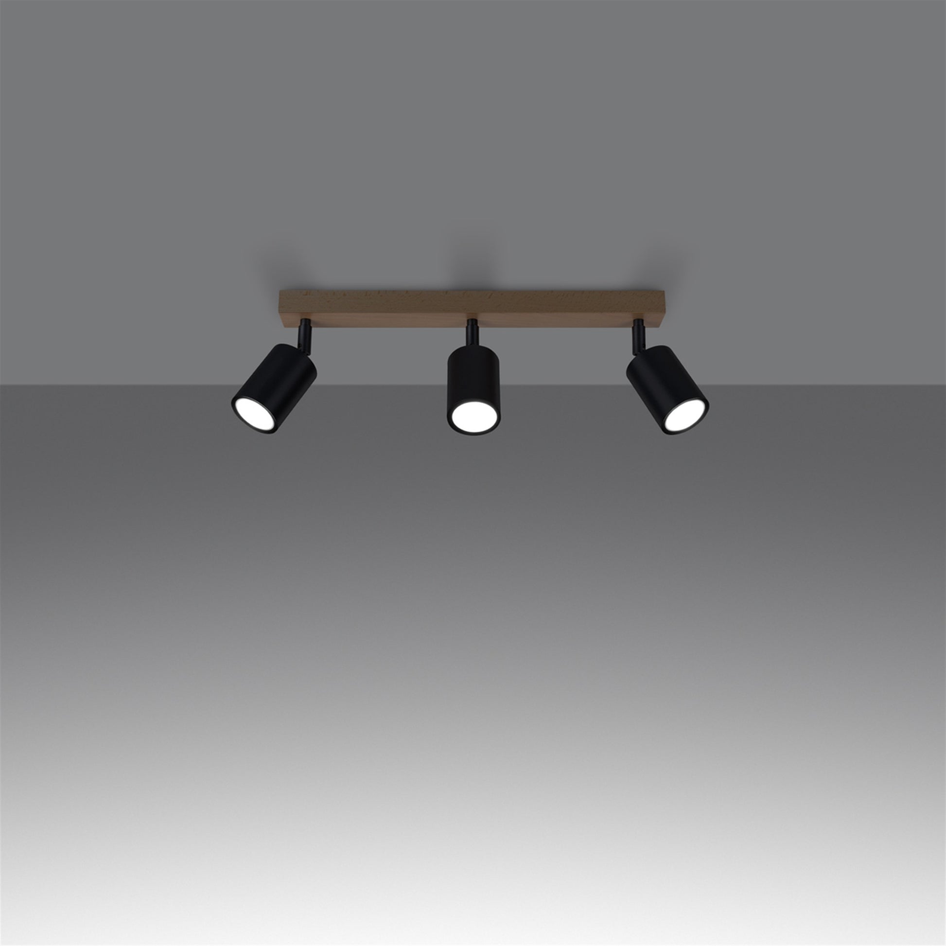 1293_3_k