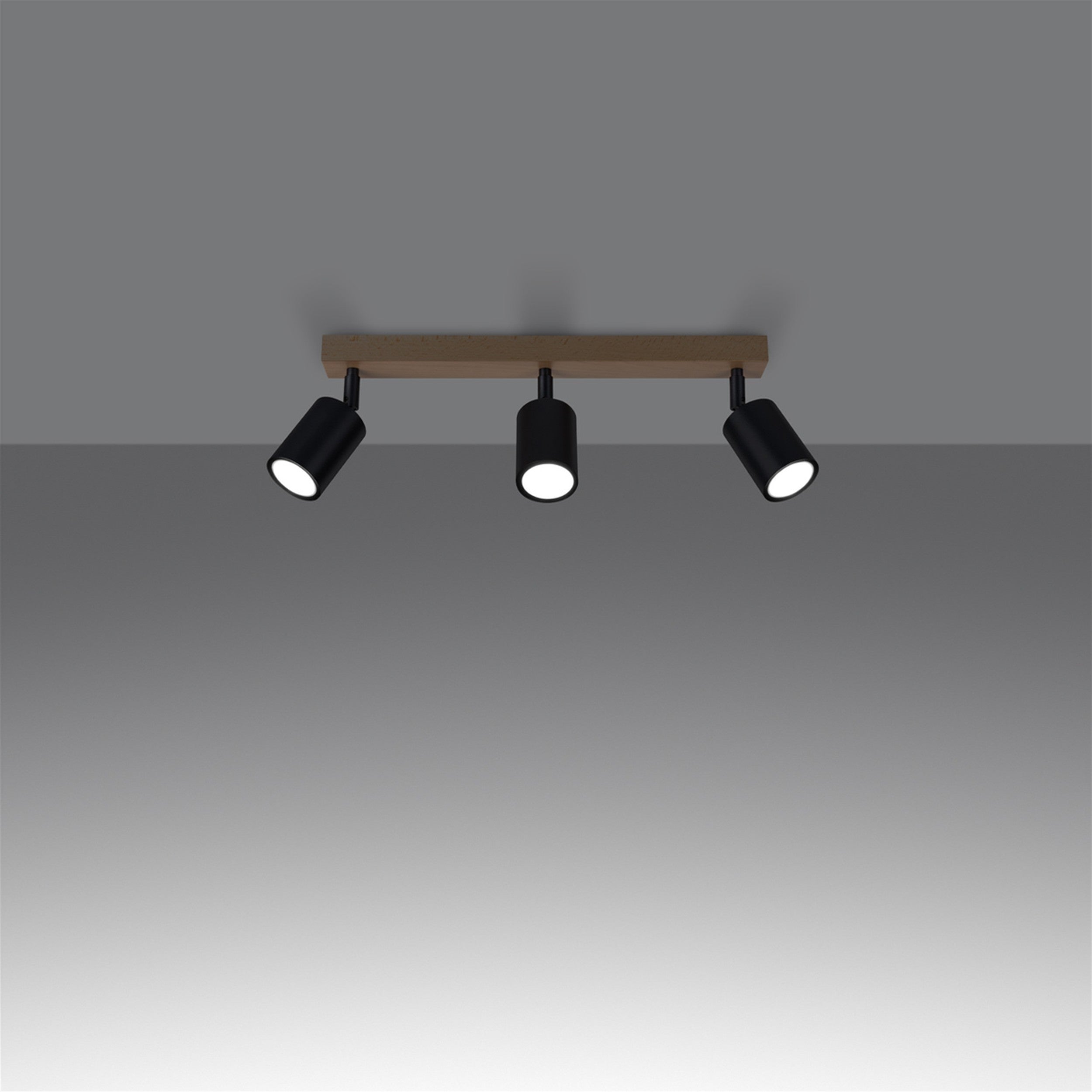 1293_3_k