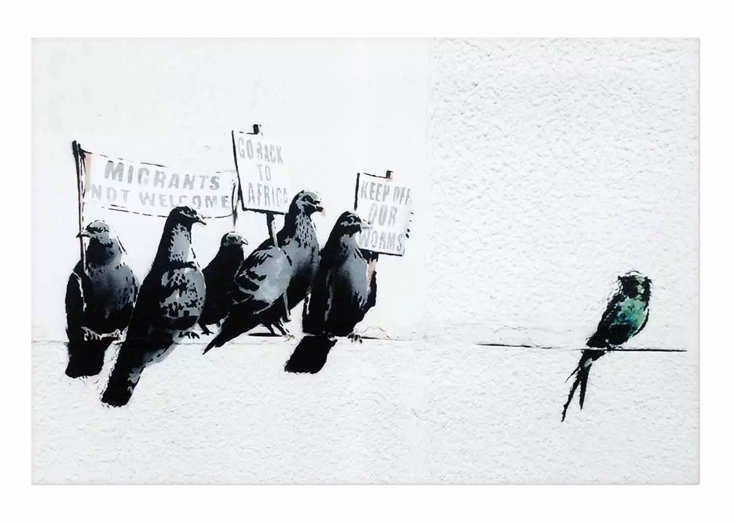 Plakat Gołębie 90x60 cm