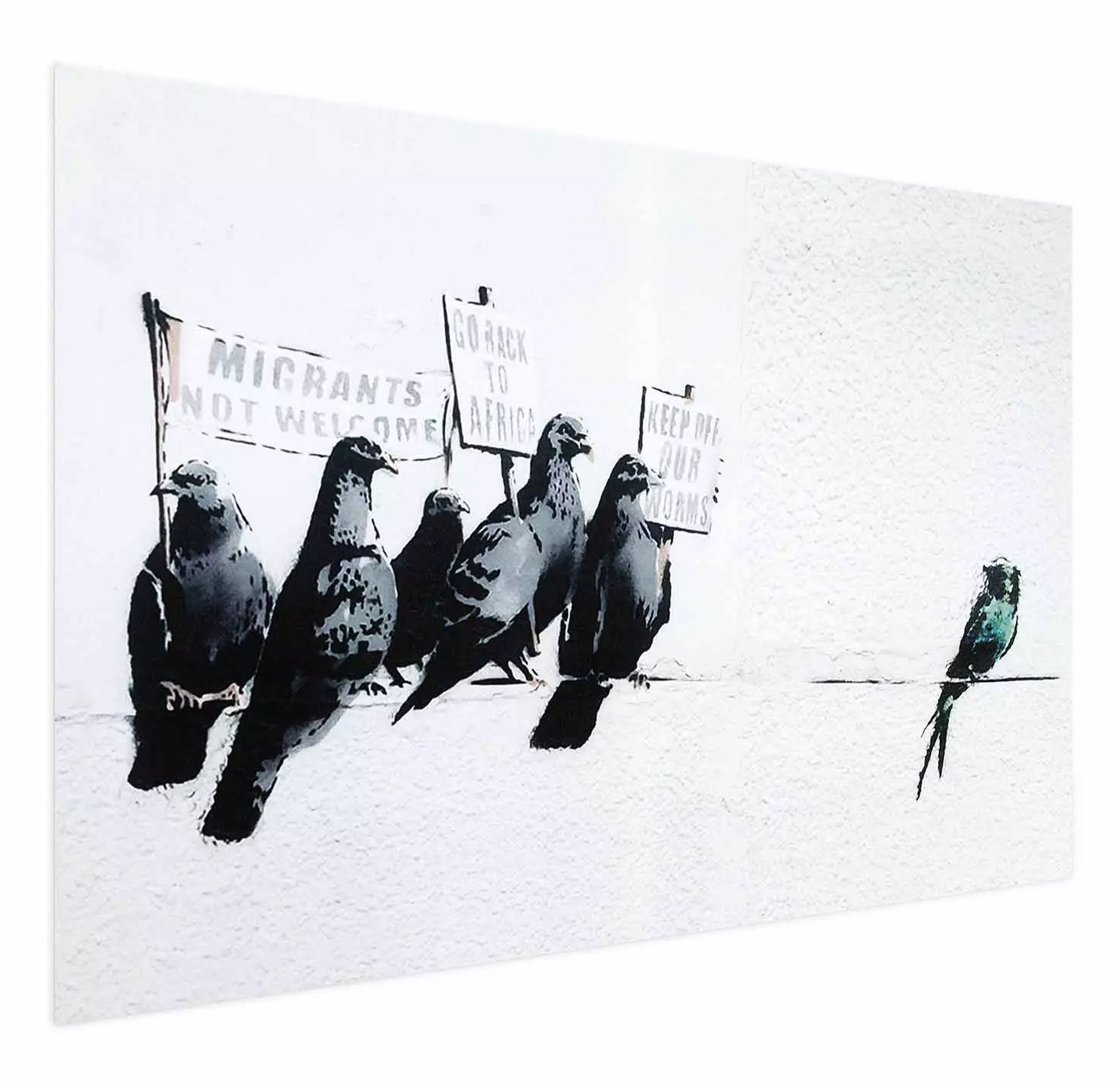 Plakat Gołębie 90x60 cm