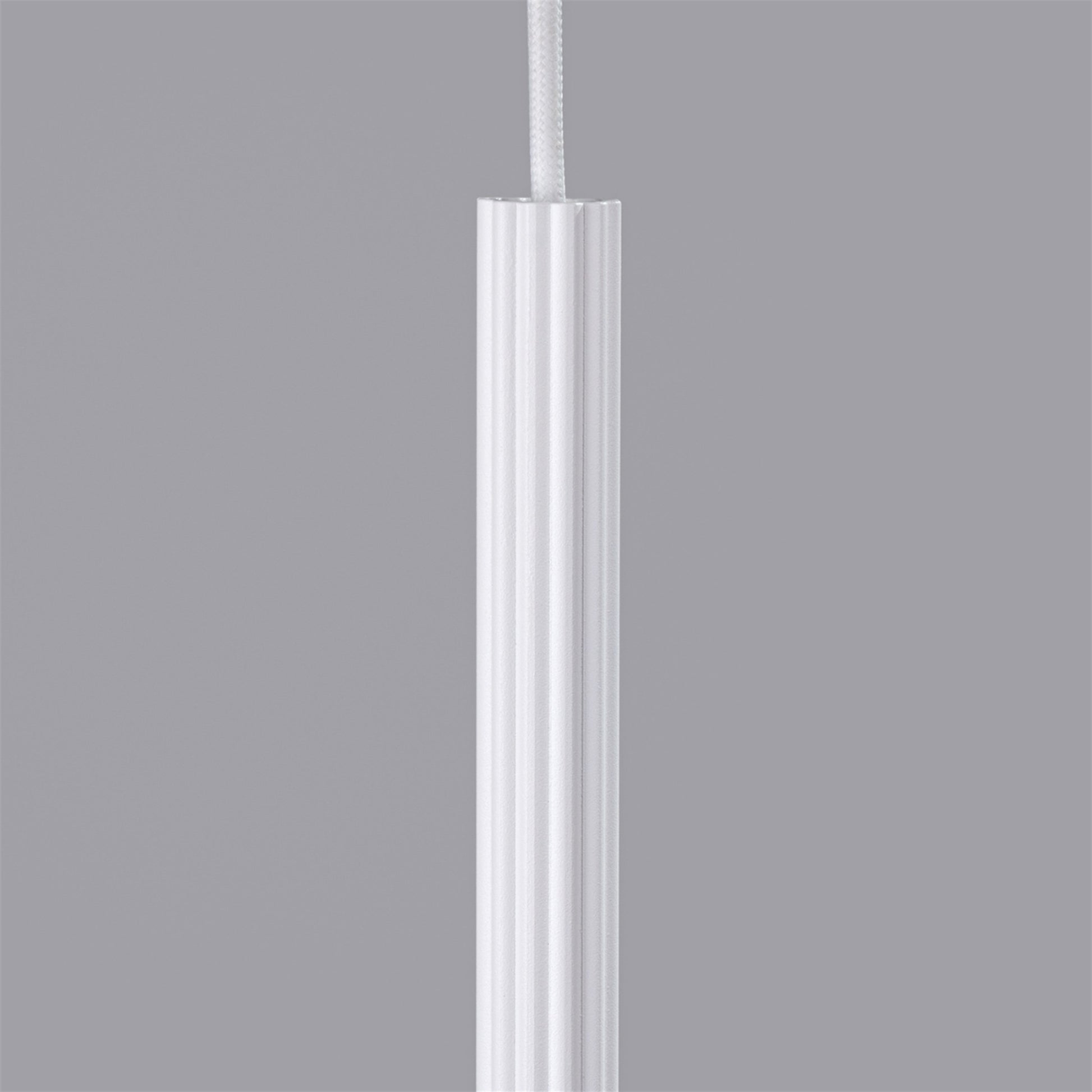 1337_4d_k
