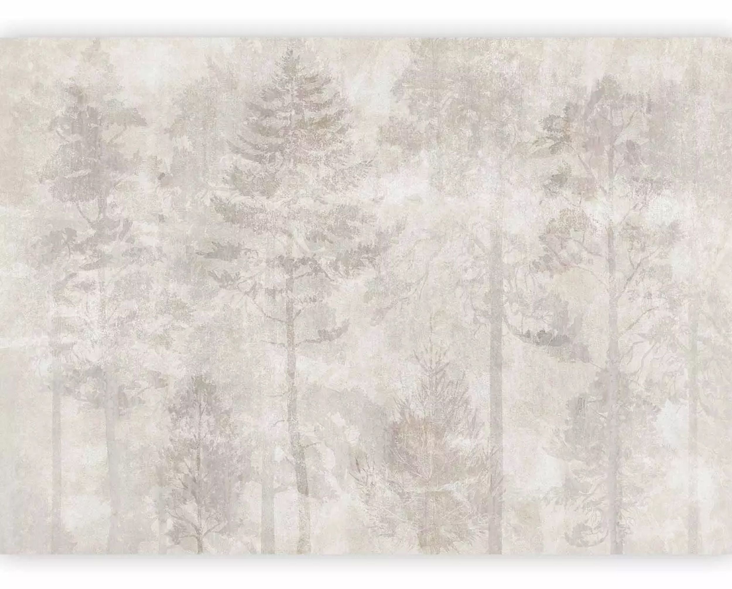 Fototapeta Senny las 350x256 cm