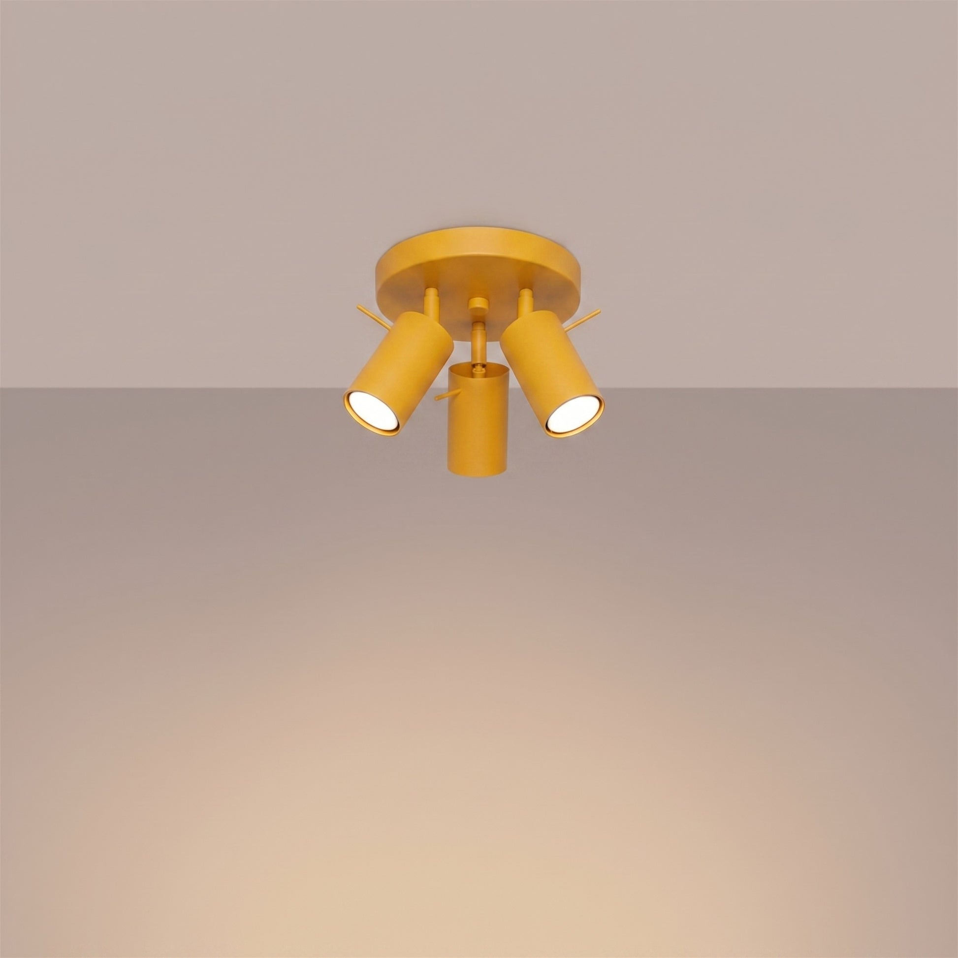 2186_3_k
