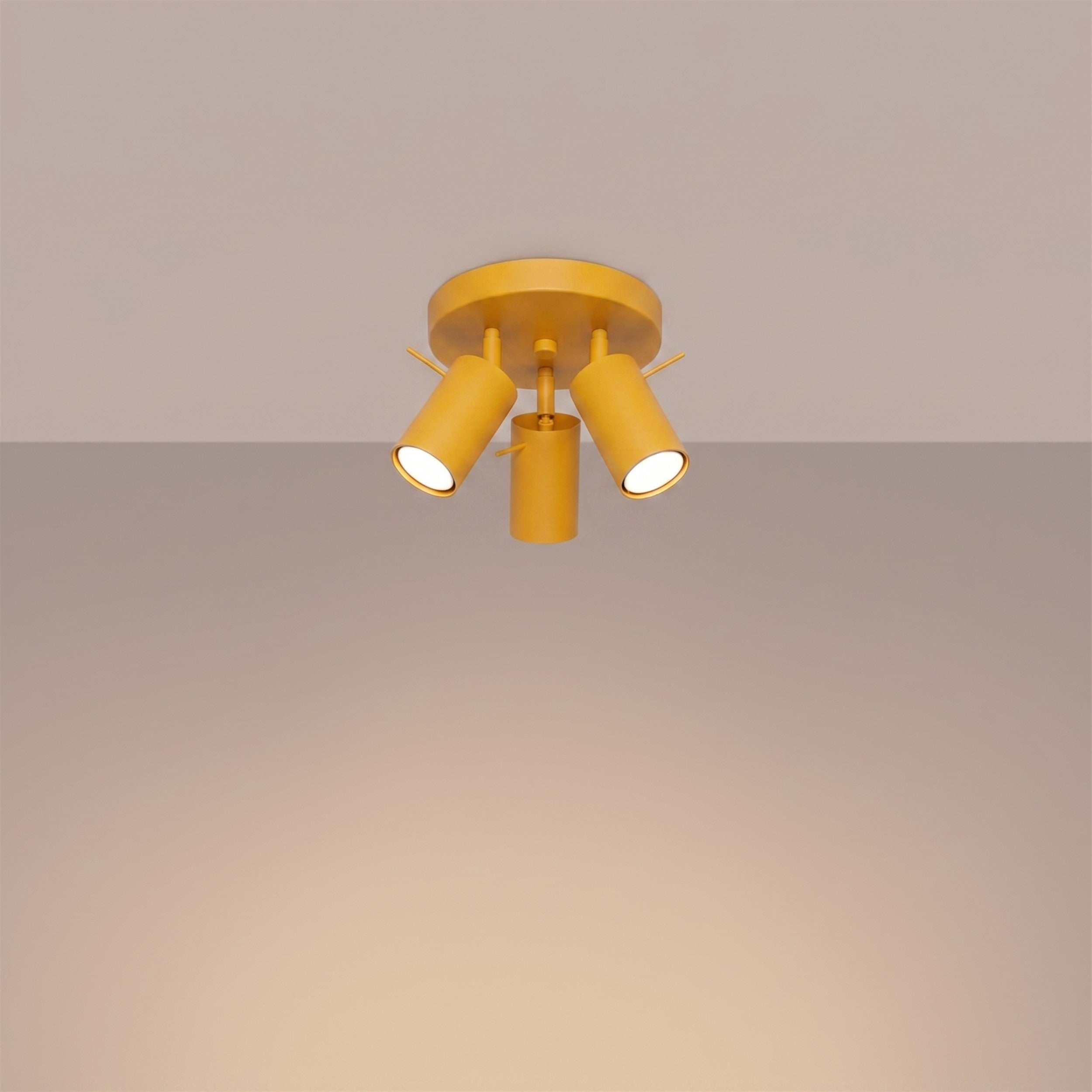 2186_3_k