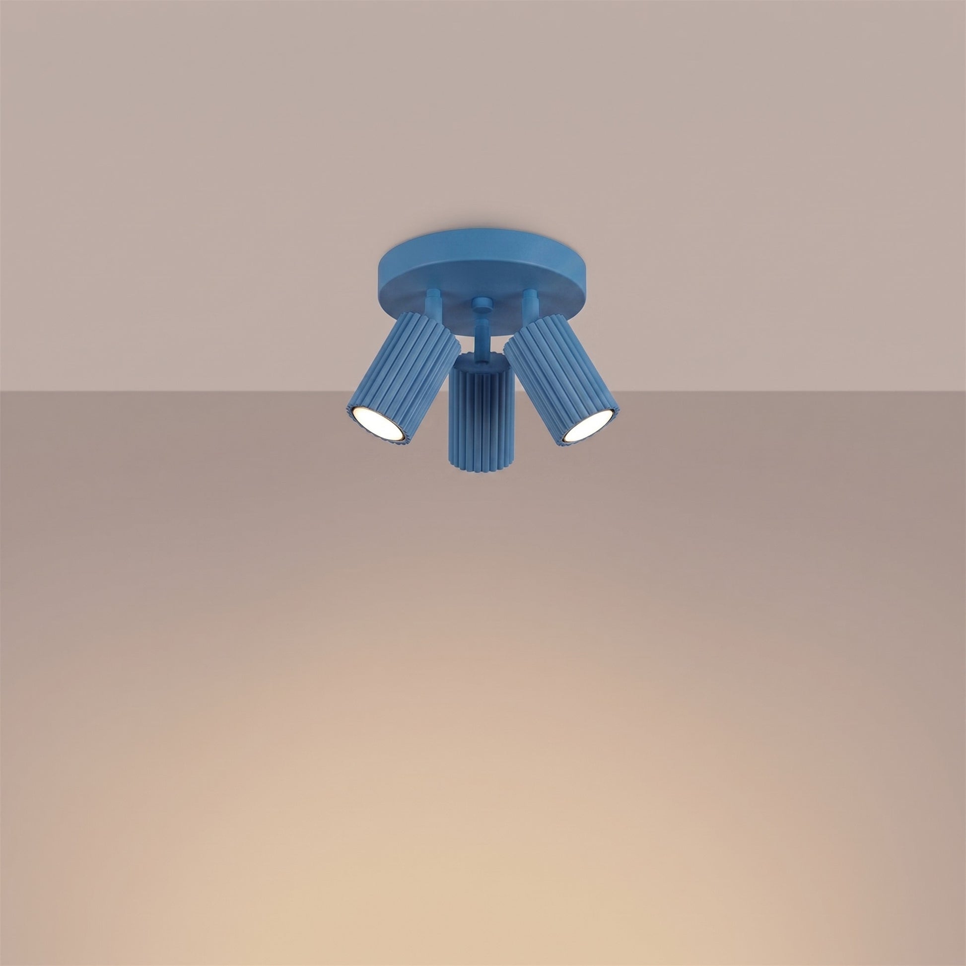 2381_3_k
