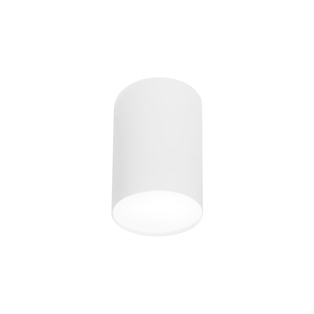 Spot sufitowy Point Plexi 20 cm biały 6528