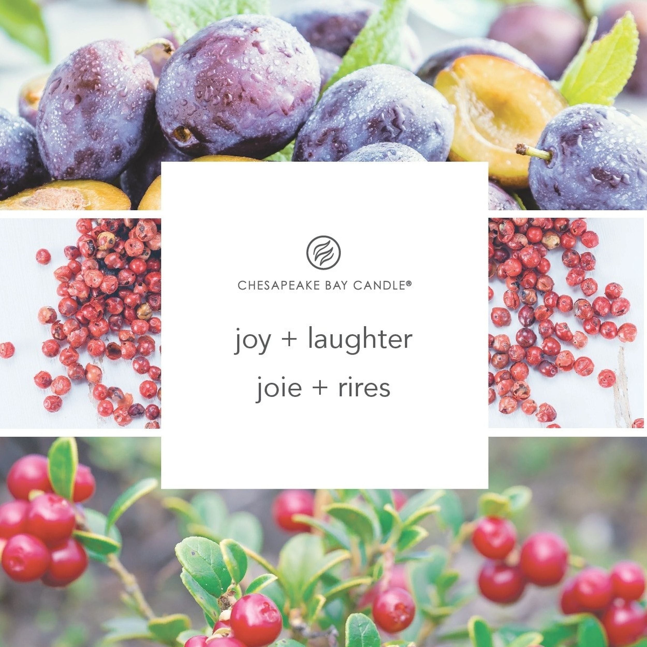 Świeca zapachowa Chesapeake Bay Joy & Laughter 96 g