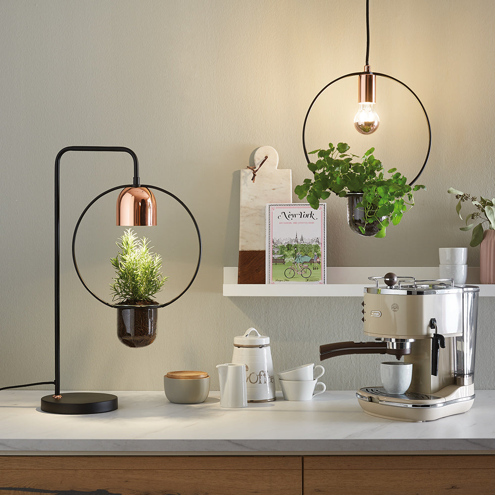 Lampa wisząca Nibbler okrągła z doniczką