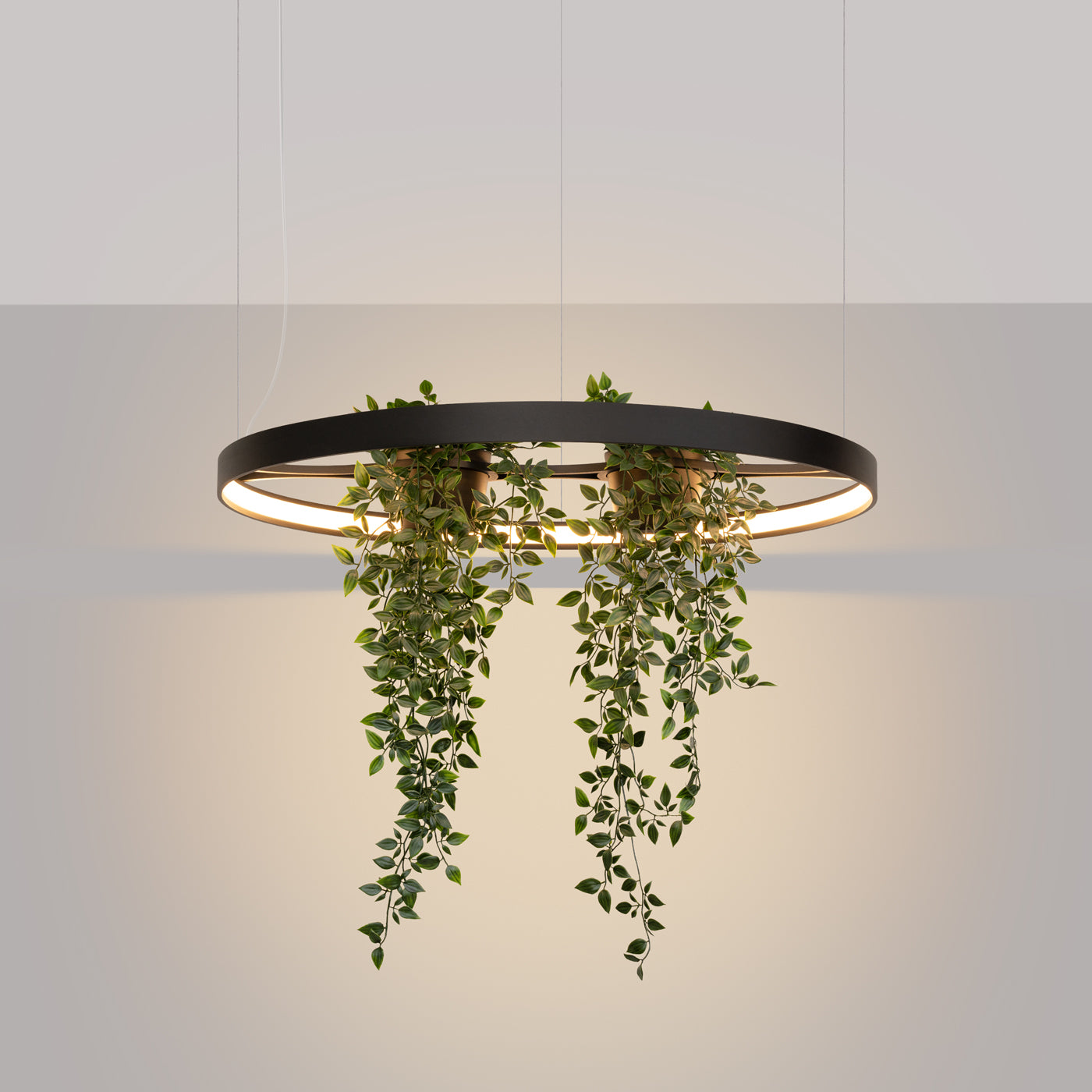 Żyrandol Rio Bio LED 78 cm czarny 3000K