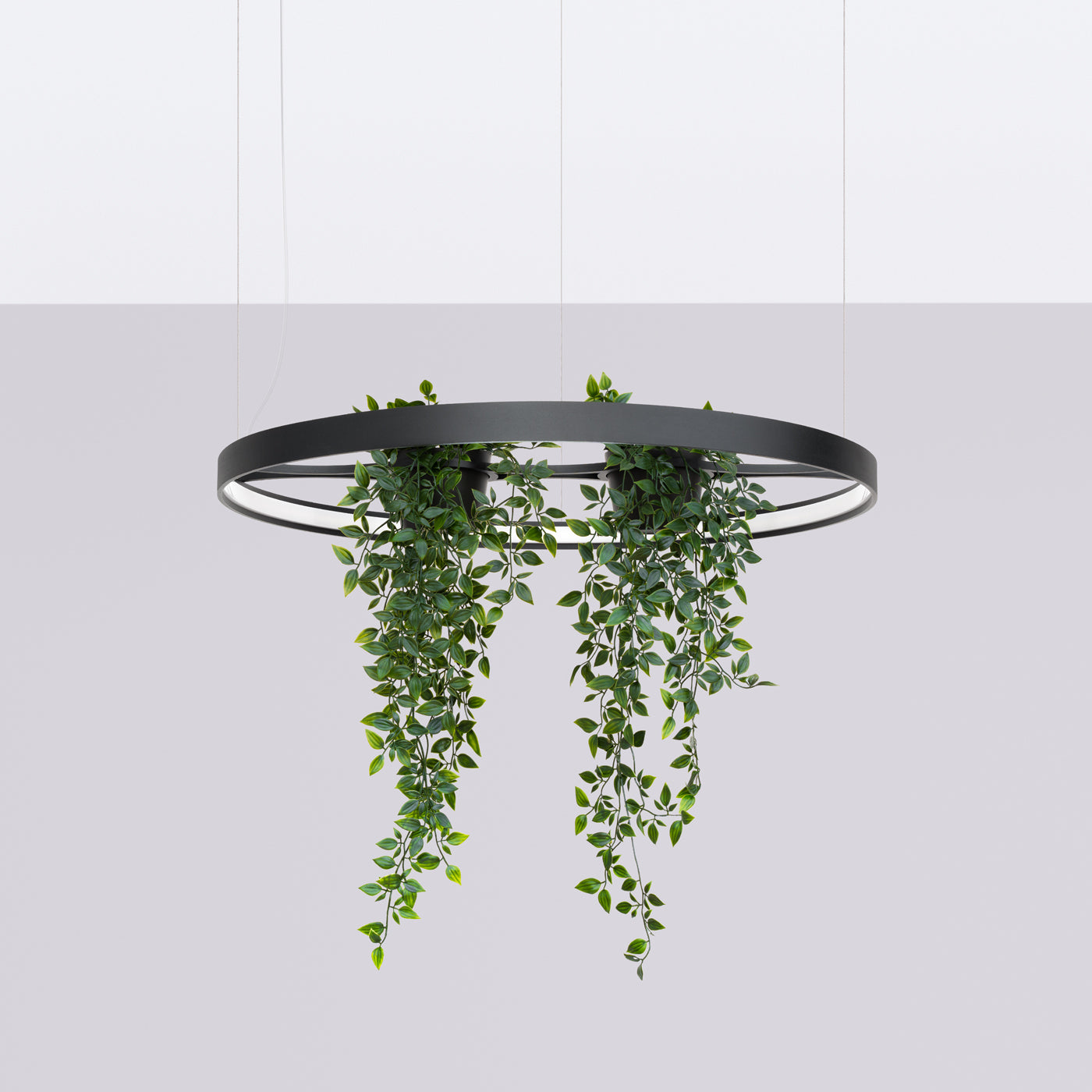 Żyrandol Rio Bio LED 78 cm czarny 4000K