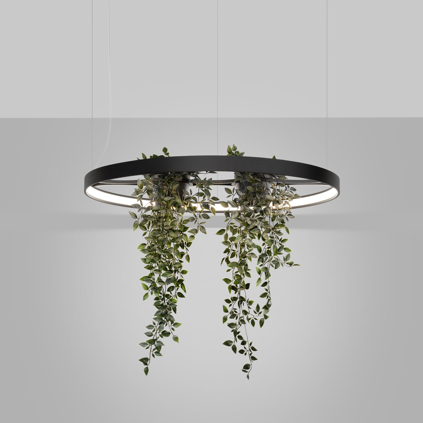 Żyrandol Rio Bio LED 78 cm czarny 4000K