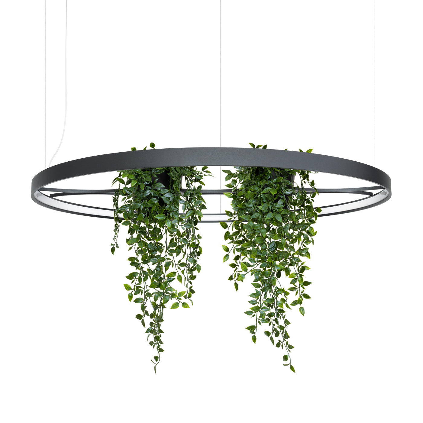 Żyrandol Rio Bio LED 110 cm czarny 3000K