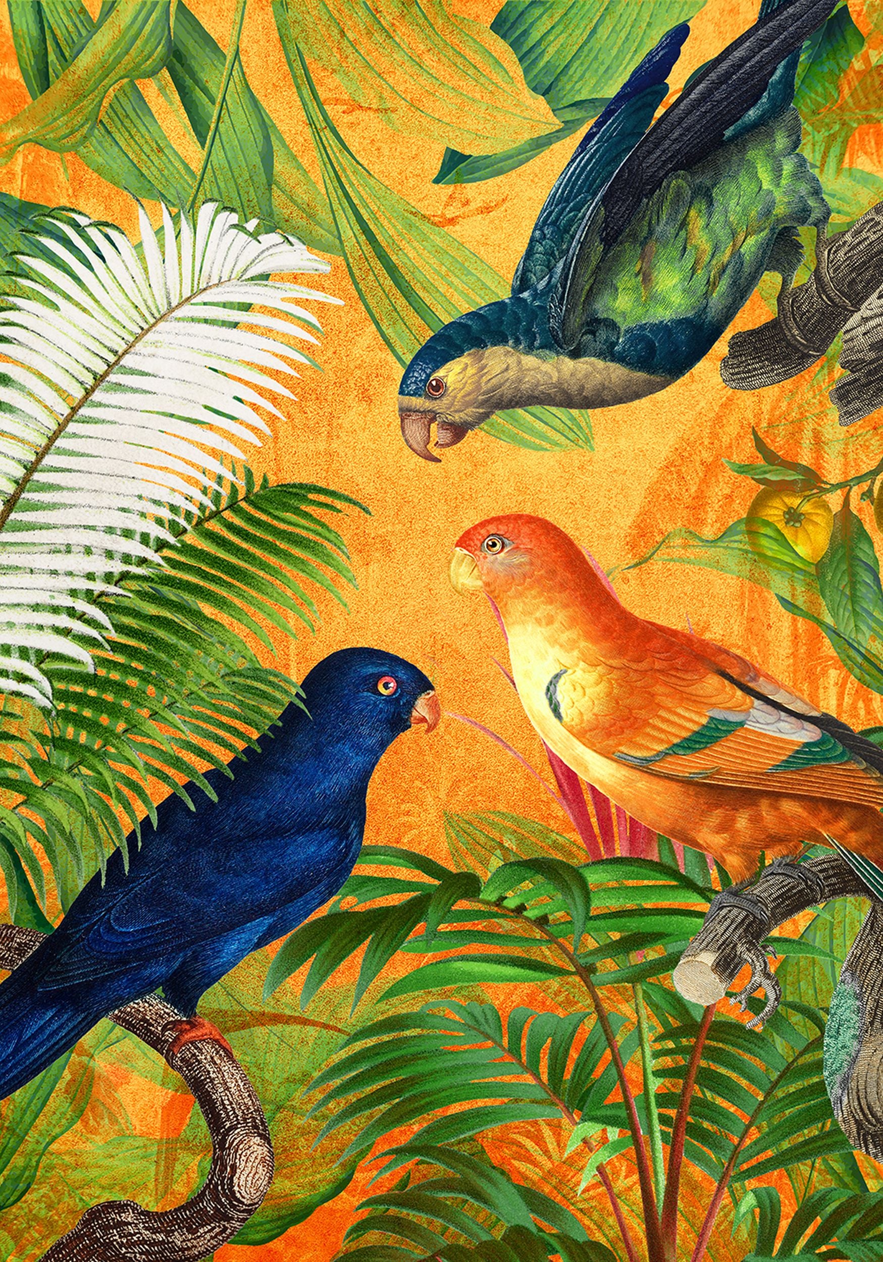 Obraz Orange Parrot 100x70 cm wielokolorowy