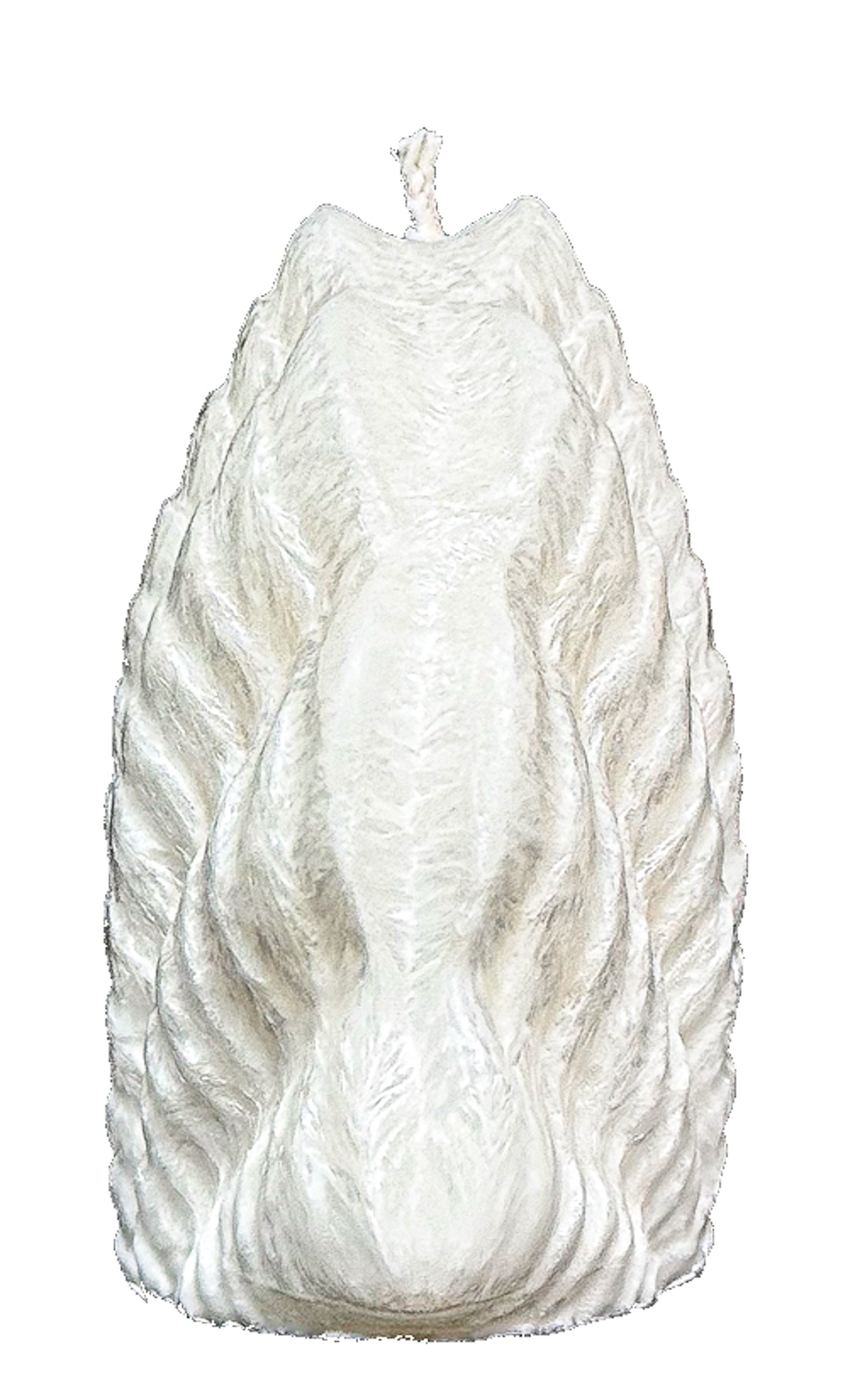 Świeca z wosku palmowego Shell 185 g