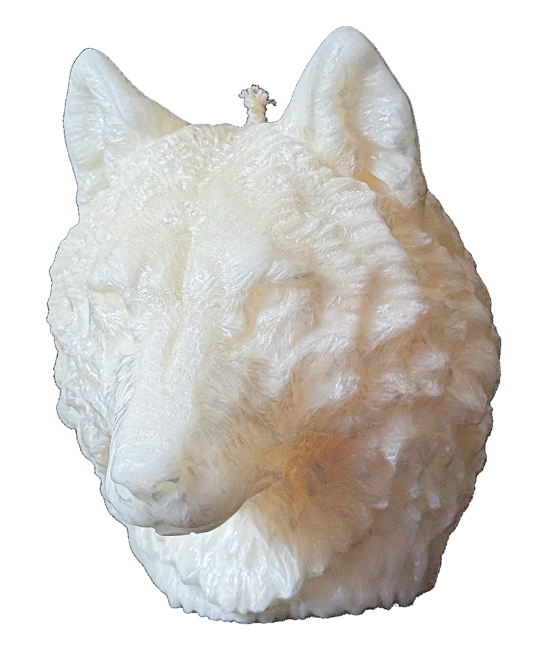 Świeca z wosku palmowego Wolf Head 600 g
