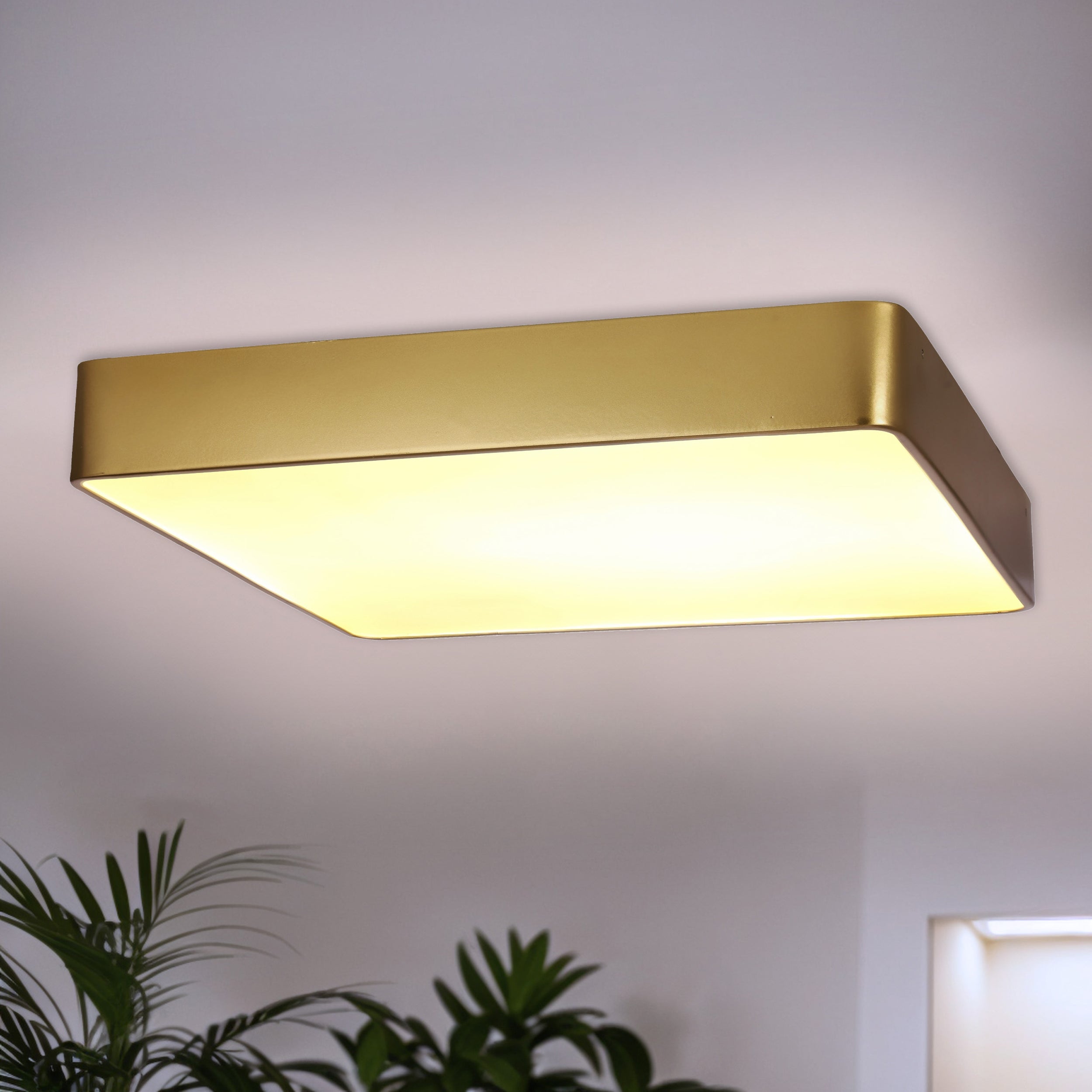 Lampa sufitowa LED Quattro 35x35 kwadratowa mosiężna 4000K 18W z białym kloszem