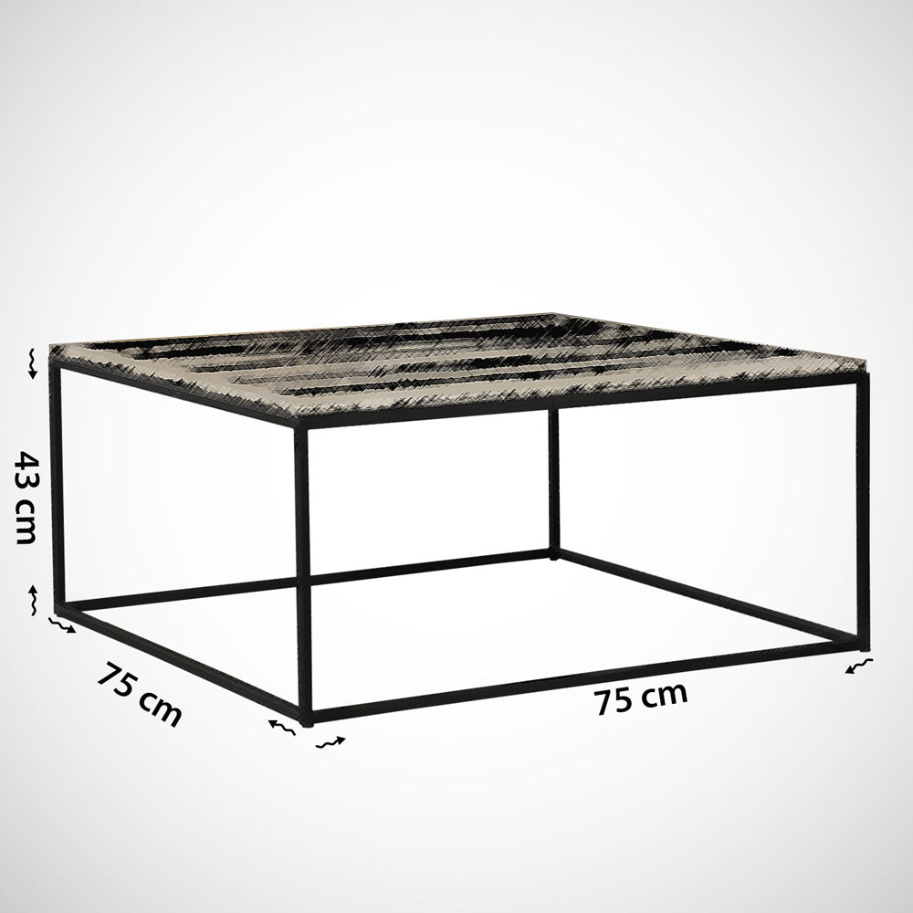 Stolik kawowy metalowy Felyndiira biały/czarny 75x75 cm
