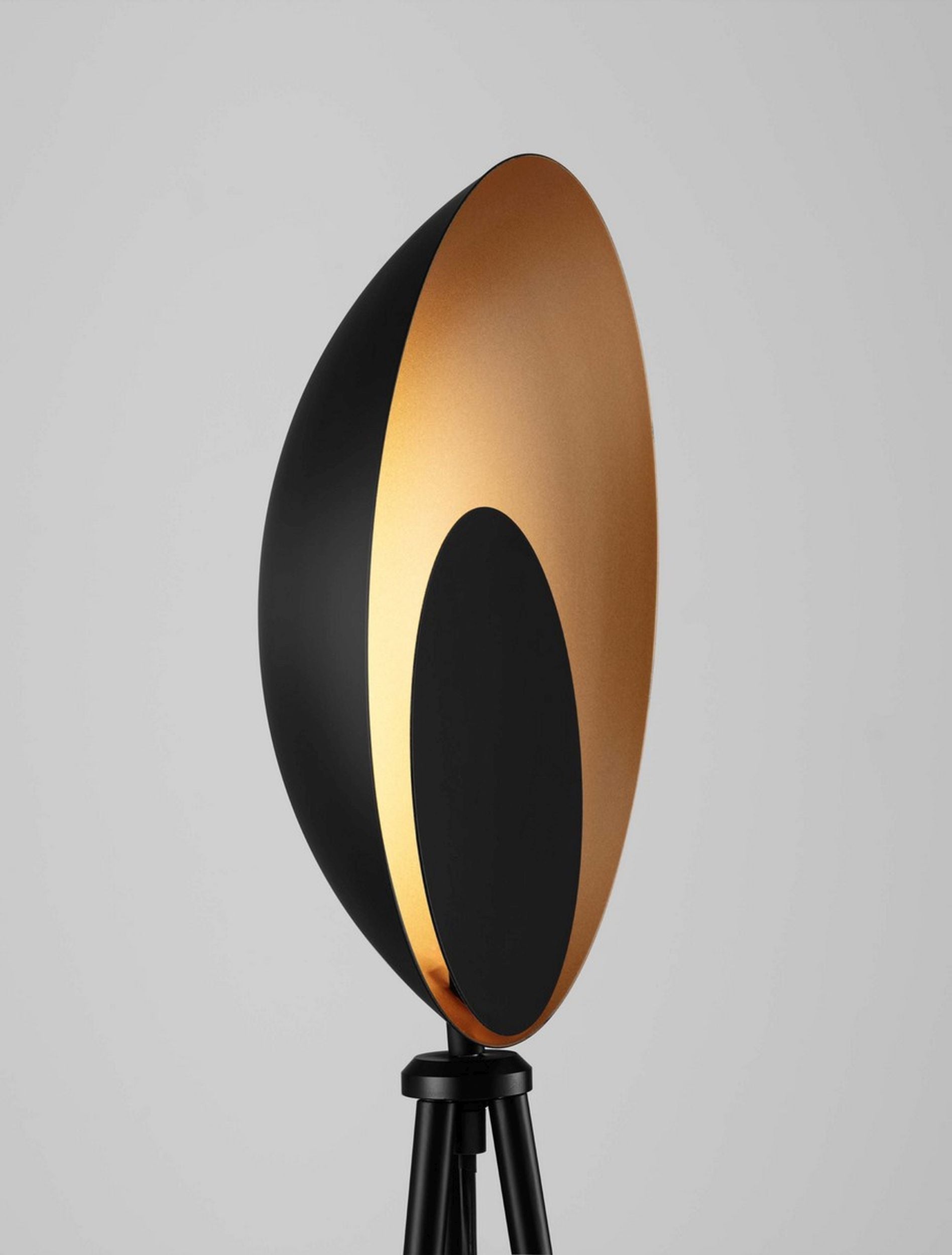 Lampa podłogowa Valoan LED złoto-czarna