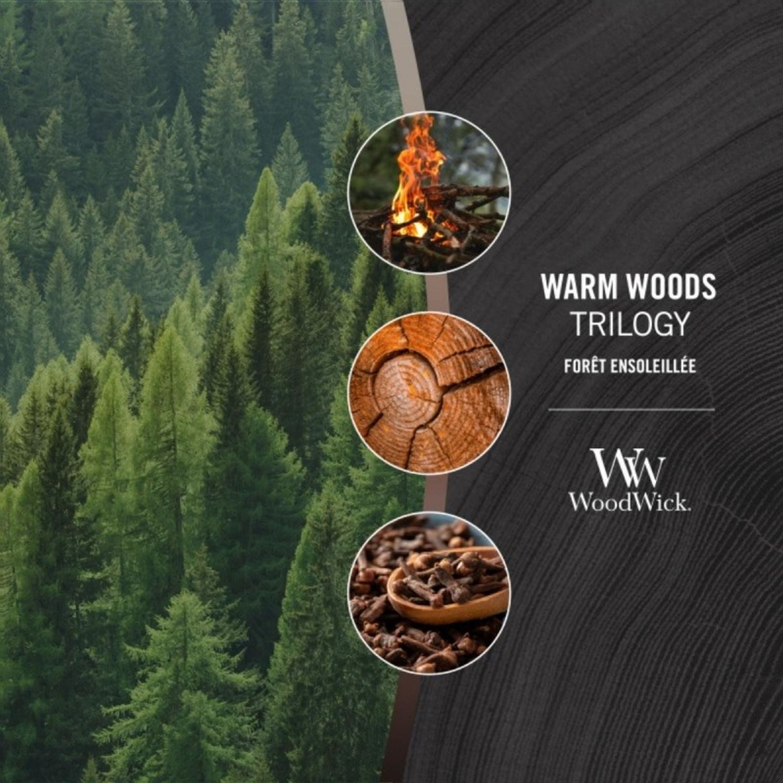 Świeca zapachowa Woodwick Warm Woods 610 g