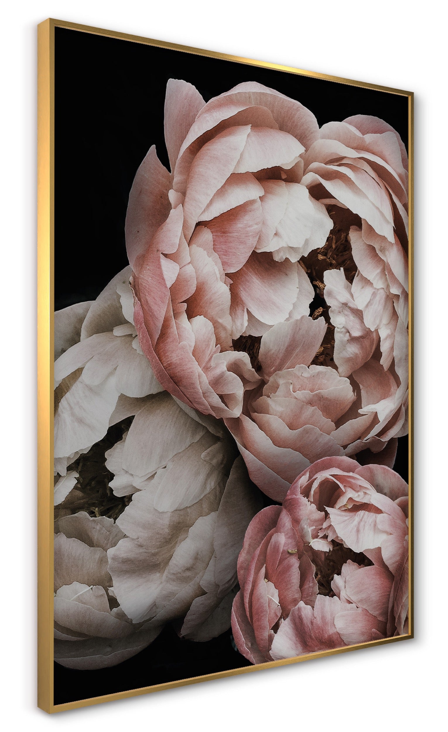 Obraz w ramie Peony 70x50 cm