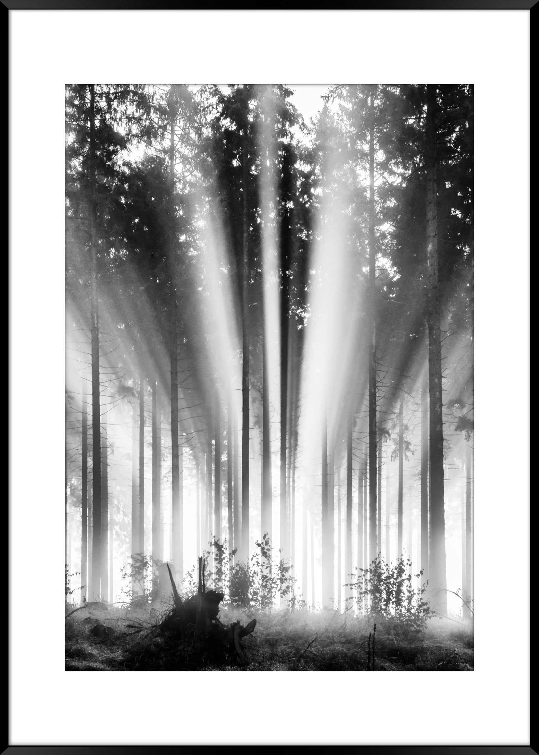 Obraz w czarnej ramie Fog and Sun 70x50 cm