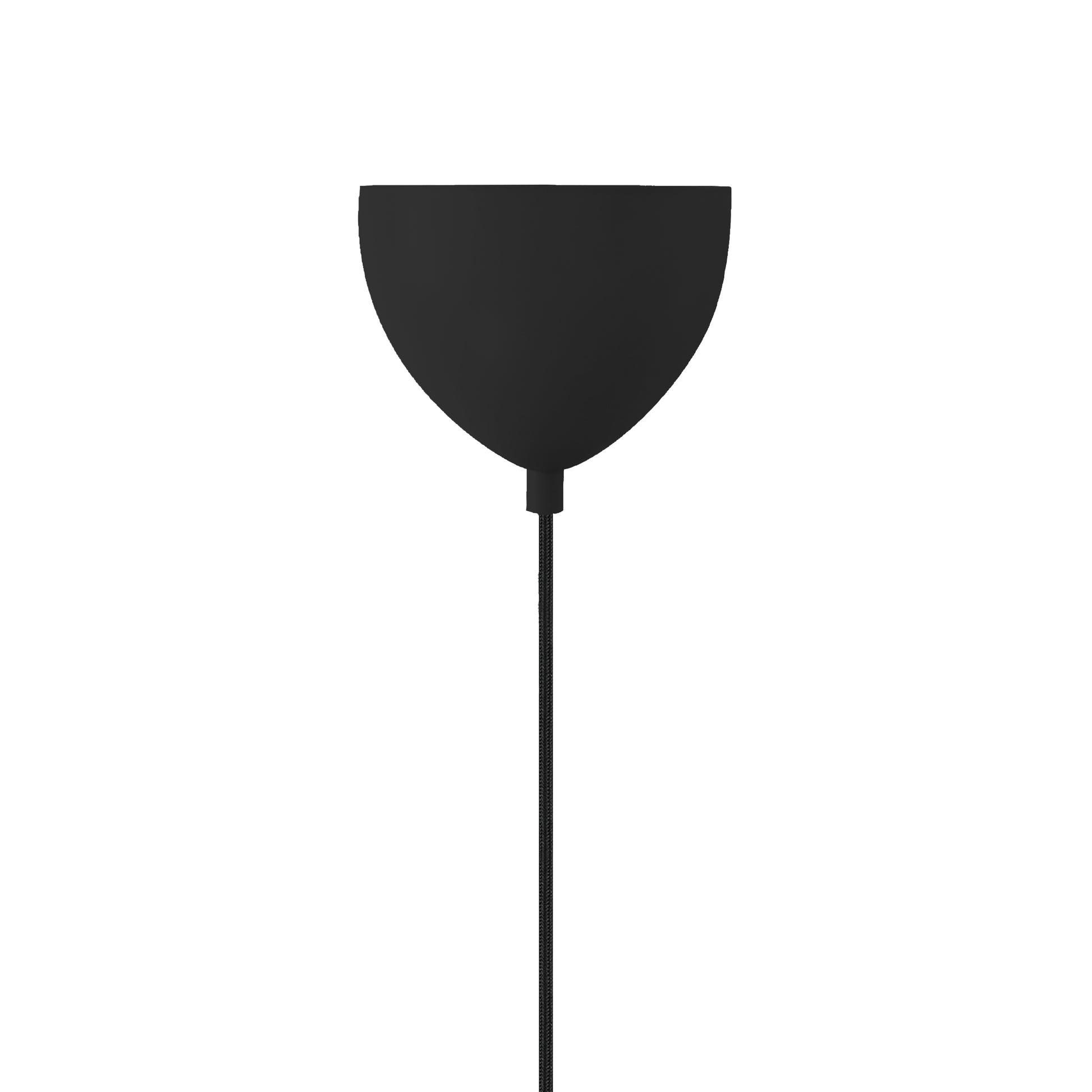 Artist2420203003_4
