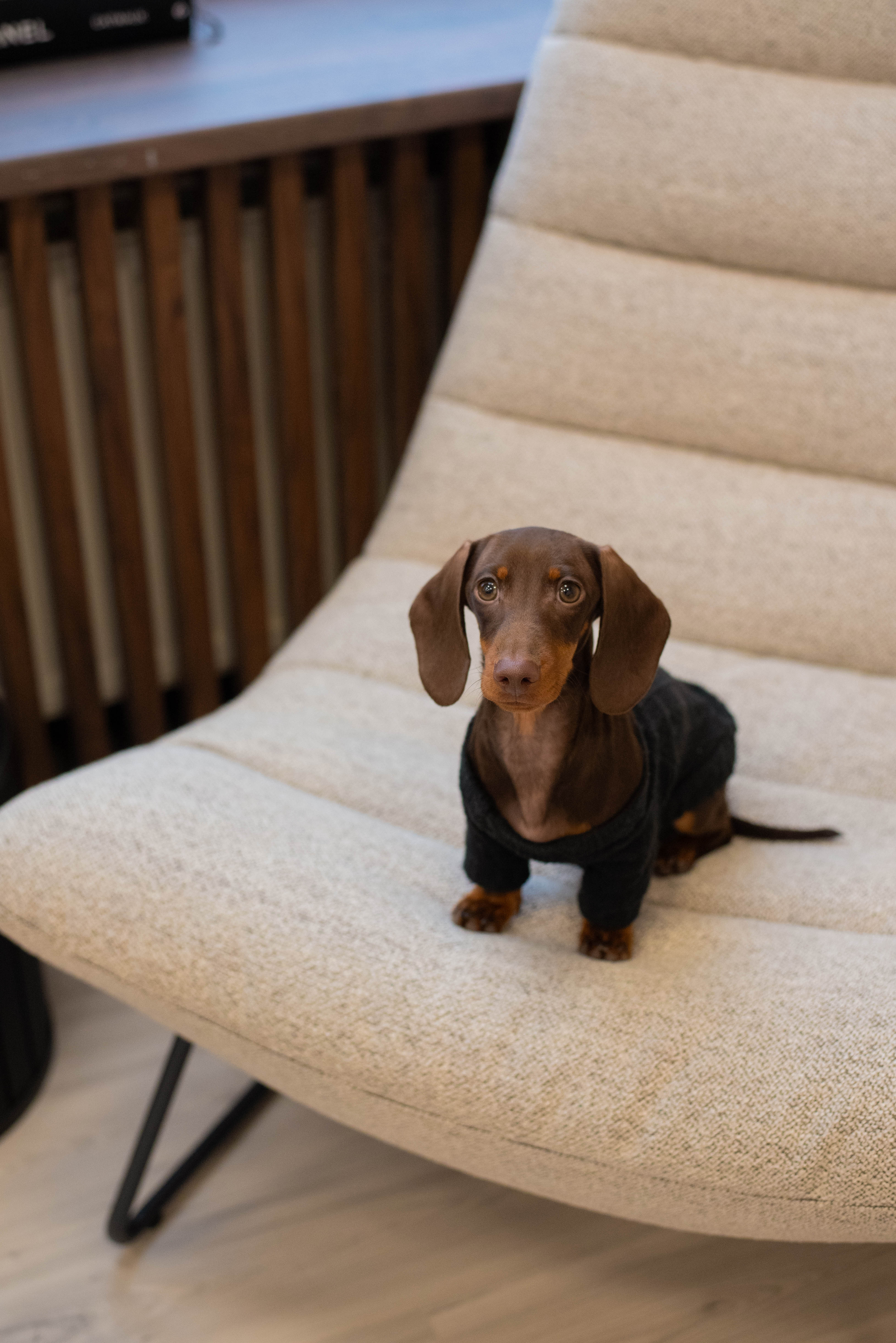 Fotel wypoczynkowy Forgents beżowy