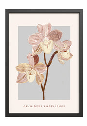 Obraz w czarnej ramie Pink Orchids 70x50 cm
