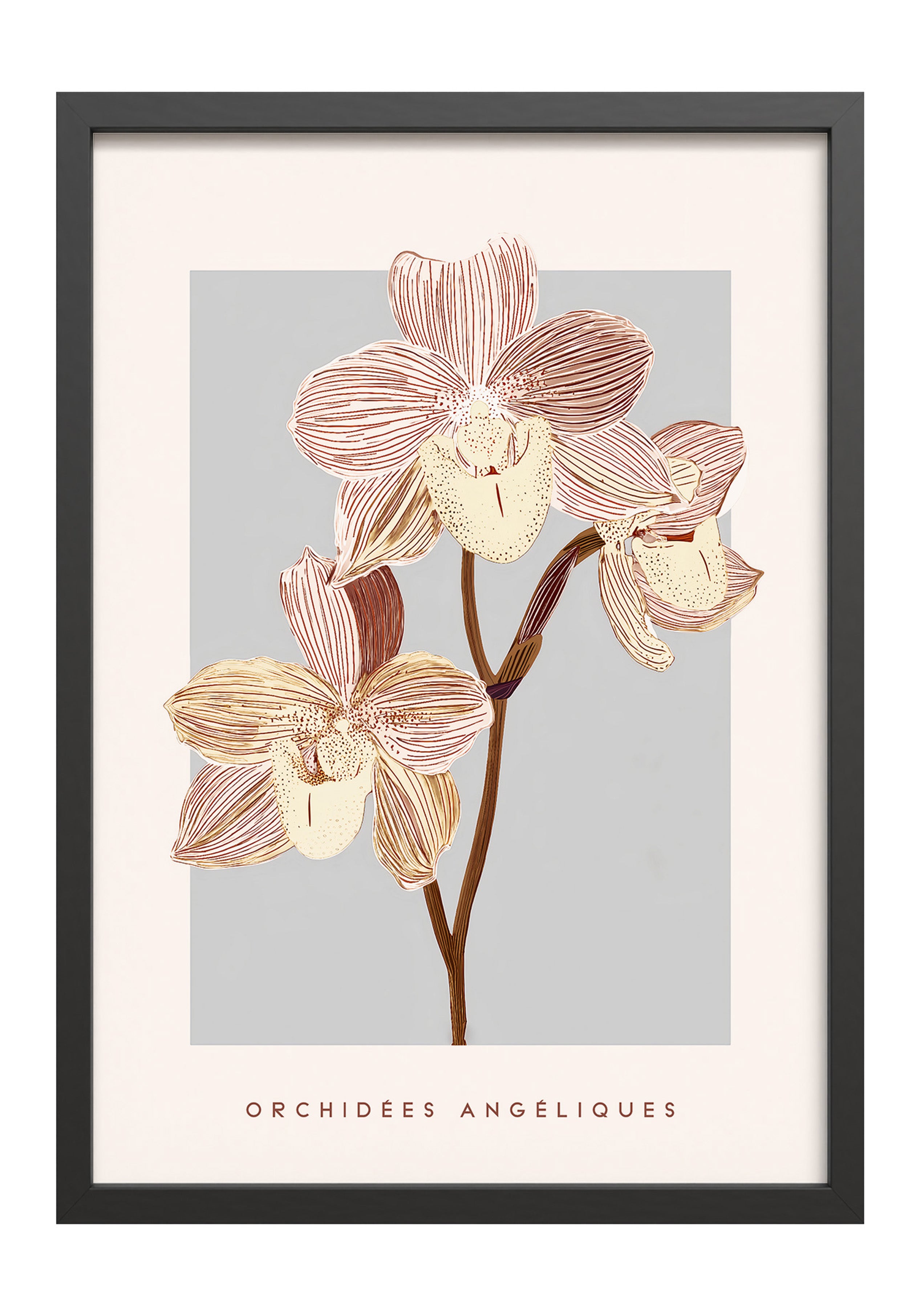 Obraz w czarnej ramie Pink Orchids 70x50 cm