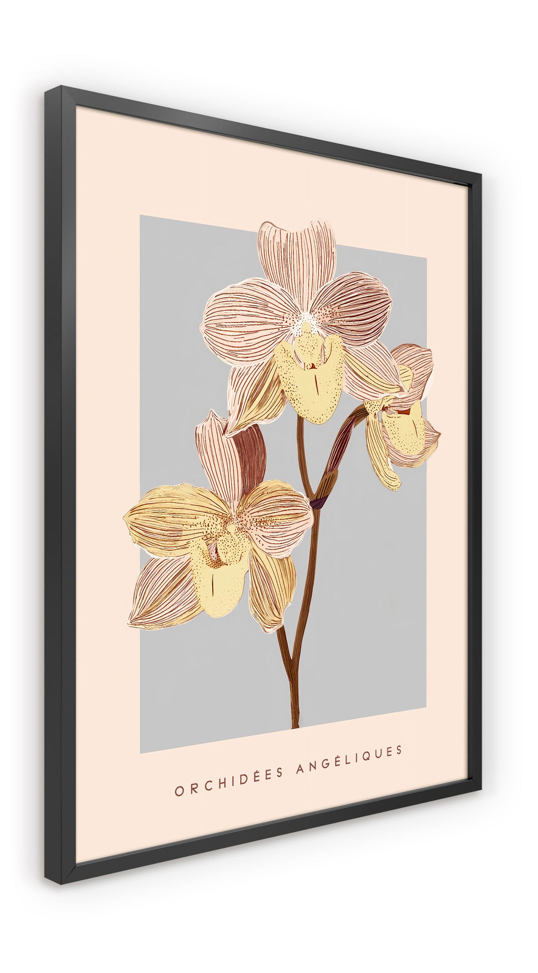 Obraz w czarnej ramie Pink Orchids 70x50 cm