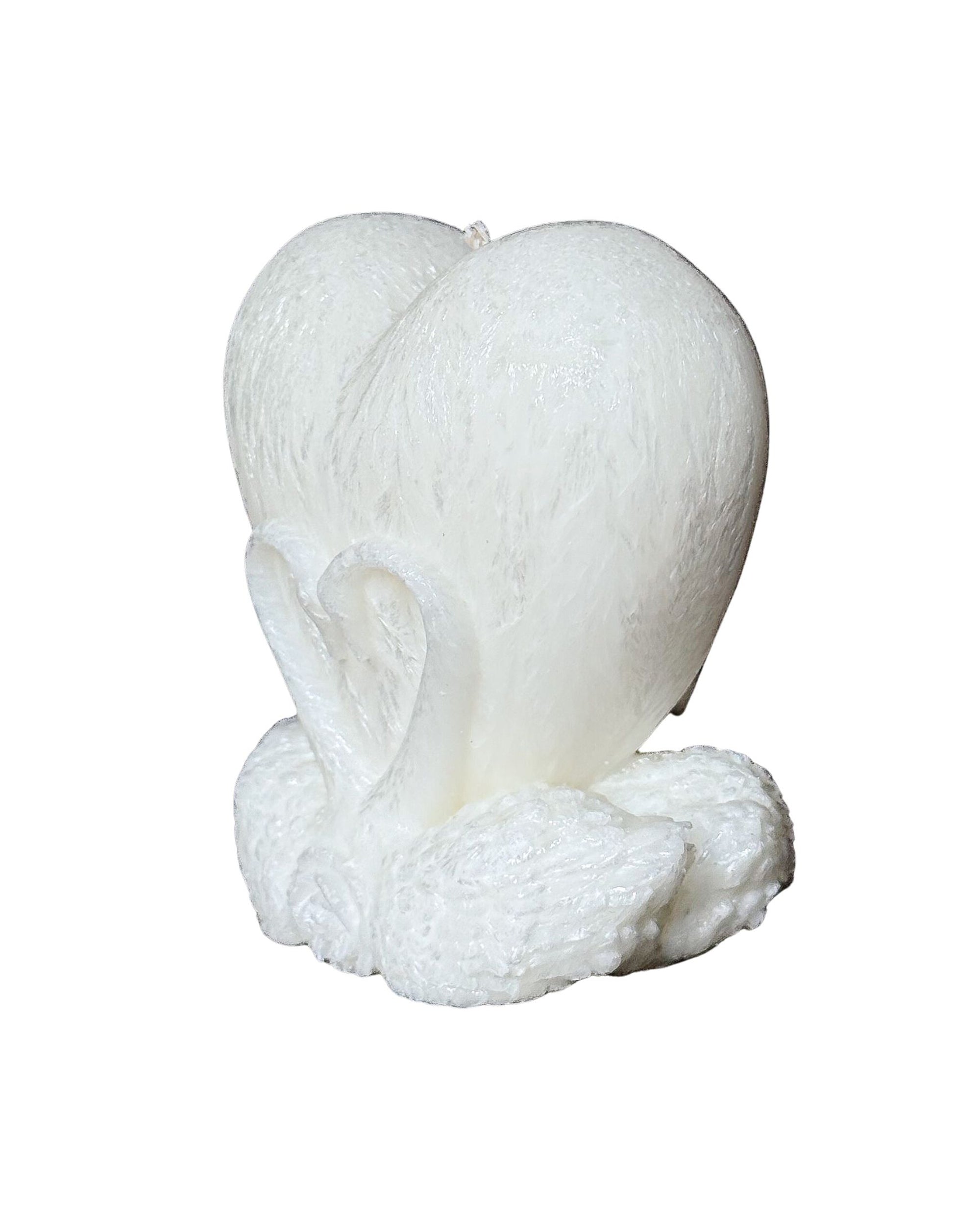 Świeca z wosku palmowego Heart Swan 140 g