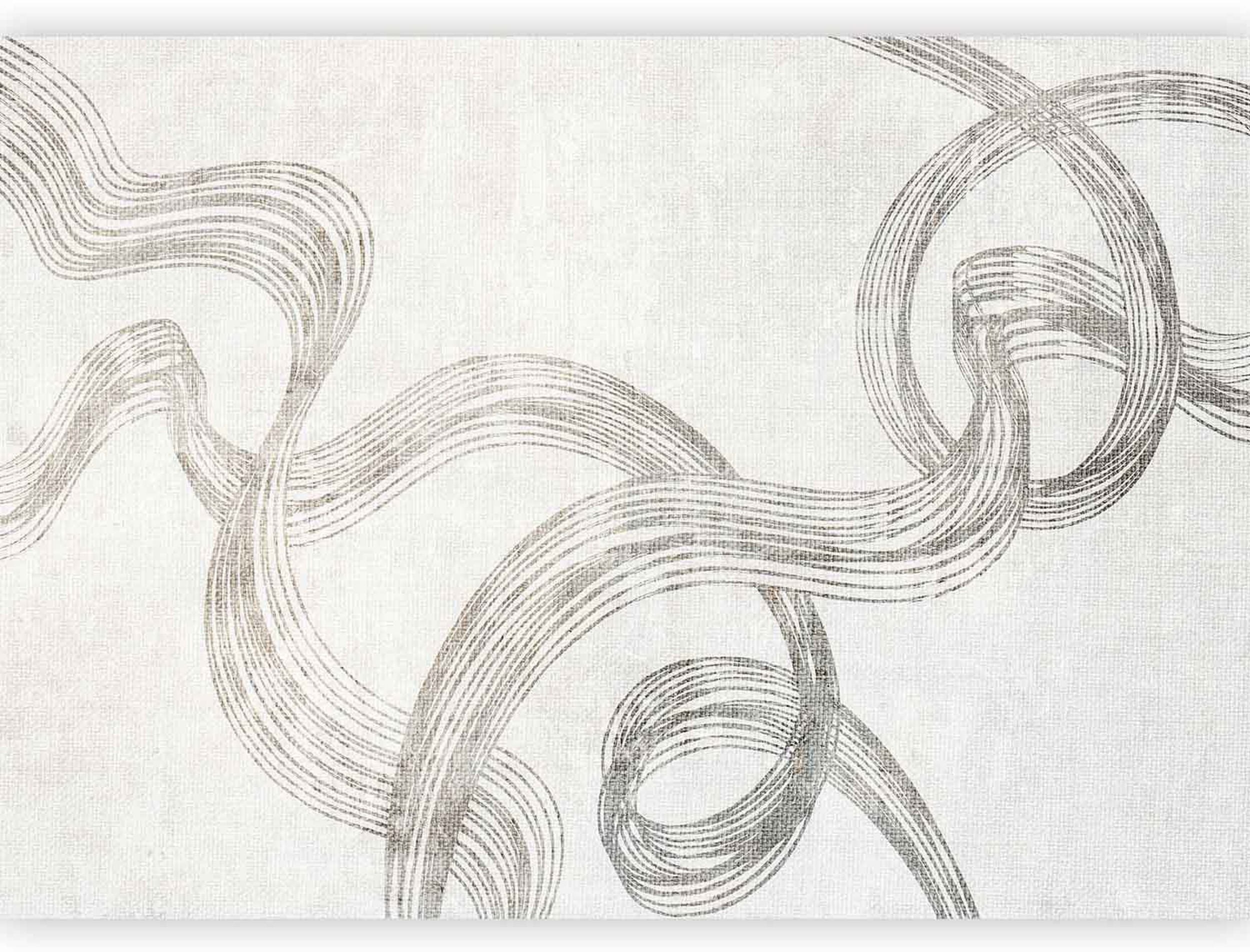 Fototapeta Abstrakcja - wstęgi szarości 250x175 cm