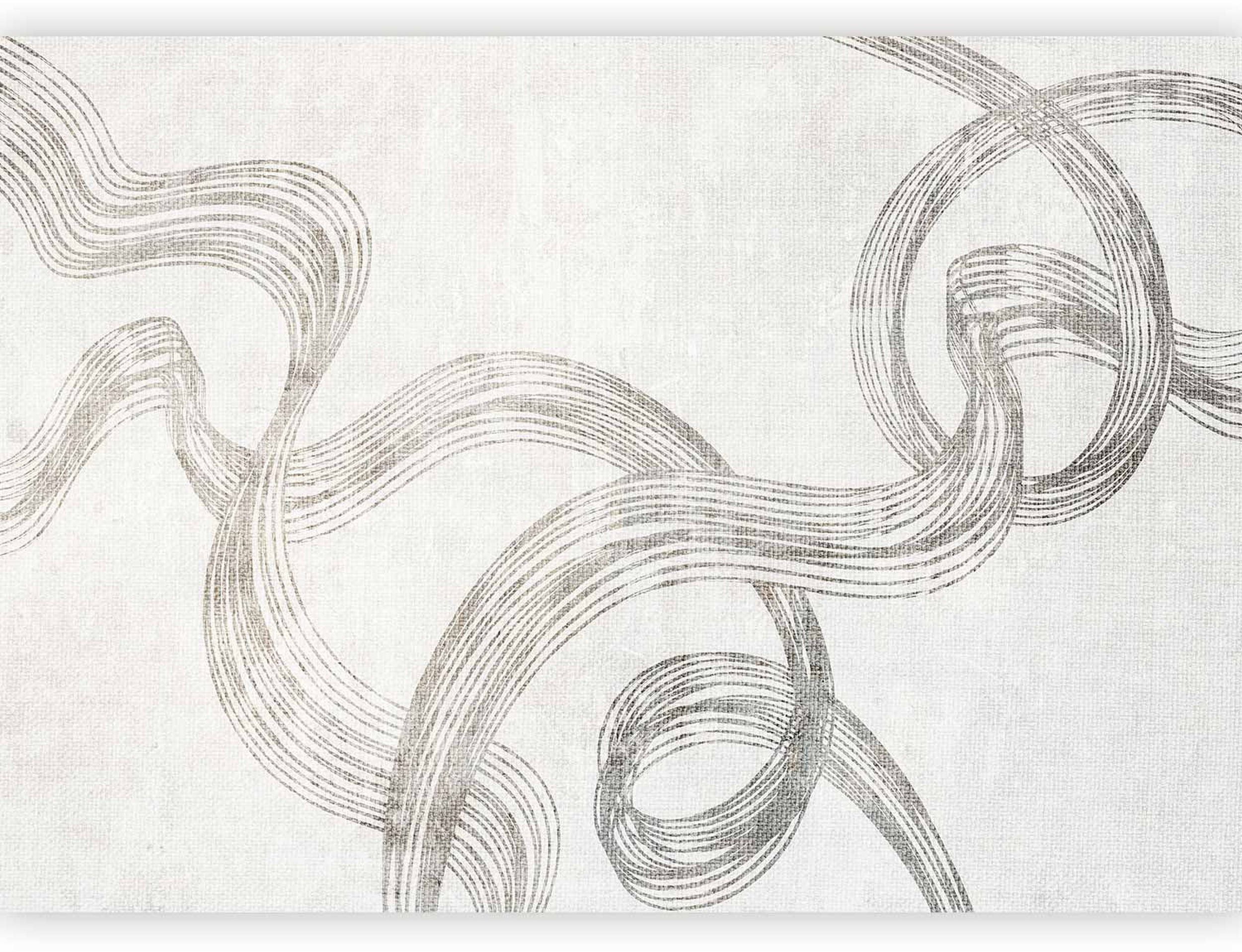 Fototapeta Abstrakcja - wstęgi szarości 400x280 cm