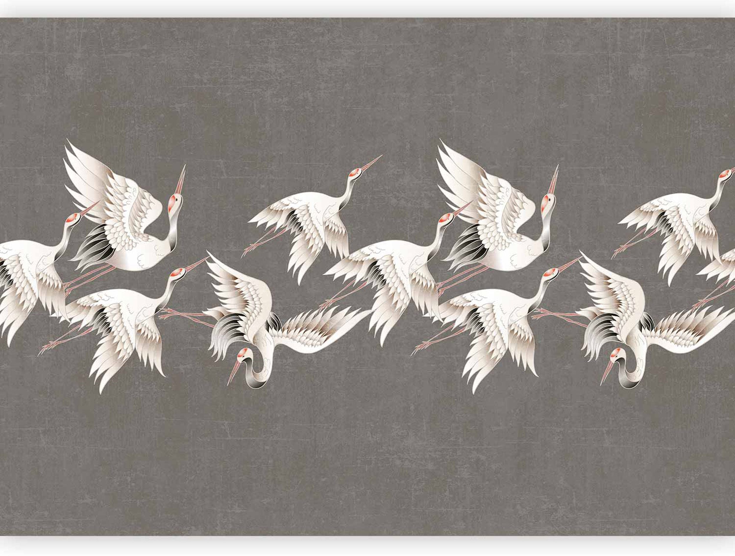 Fototapeta Ornament z żurawiami 250x175 cm