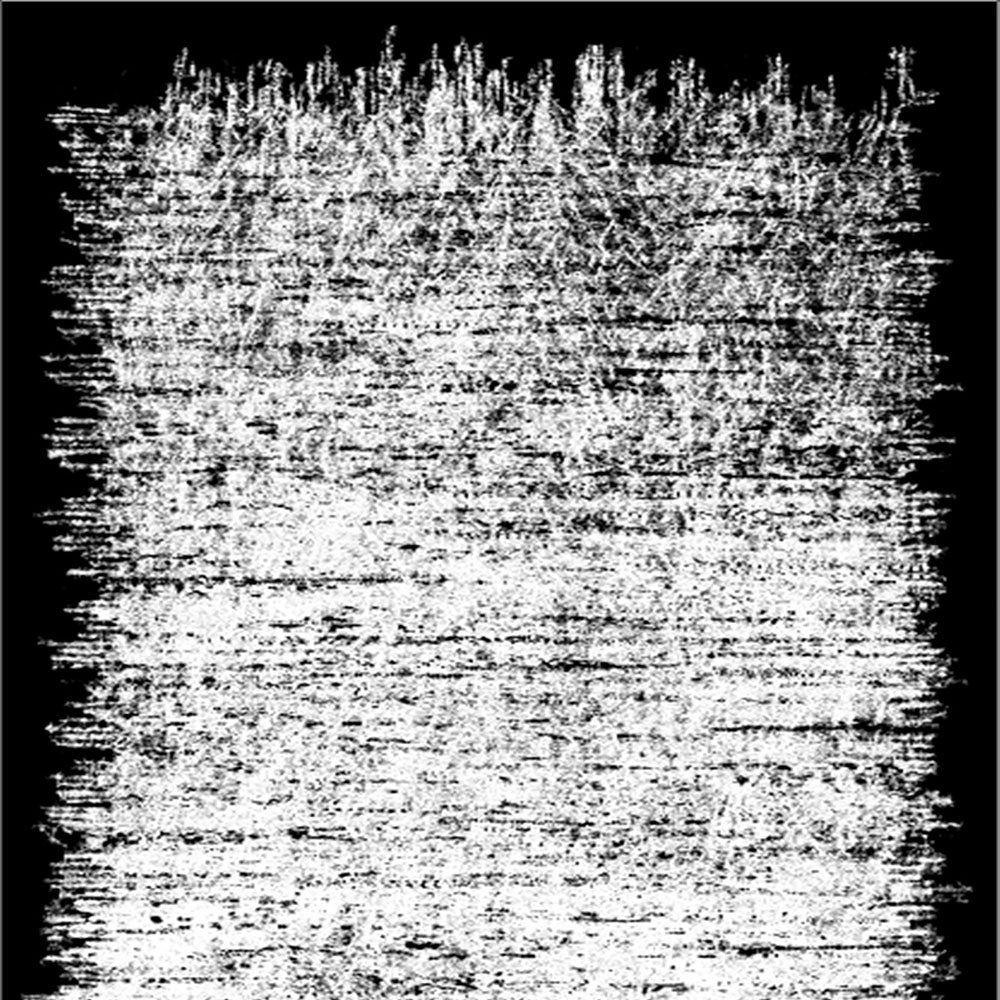 Dywan nowoczesny Terwovers 180x280 cm biało-czarny