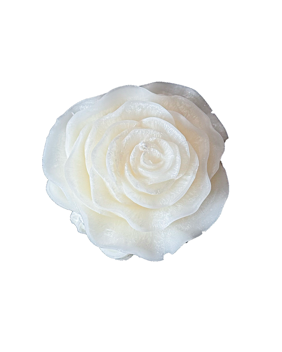 Świeca z wosku palmowego Rose Bow 155 g