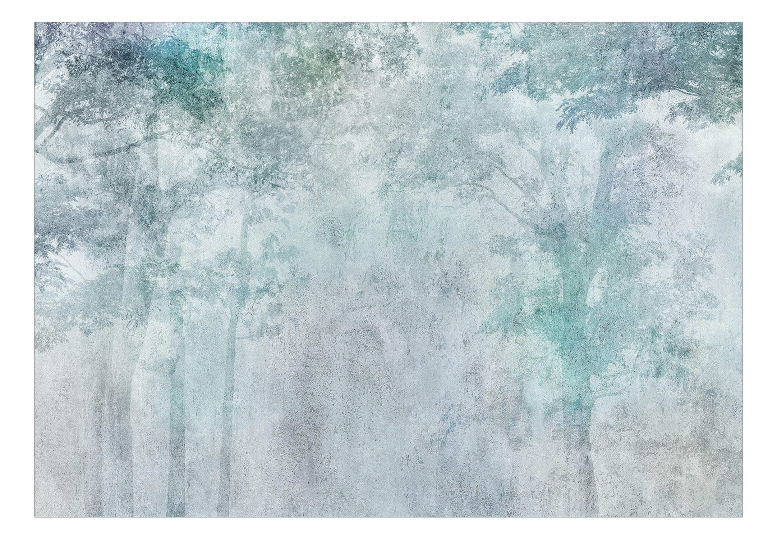 Fototapeta Leśne ukojenie 450x315 cm