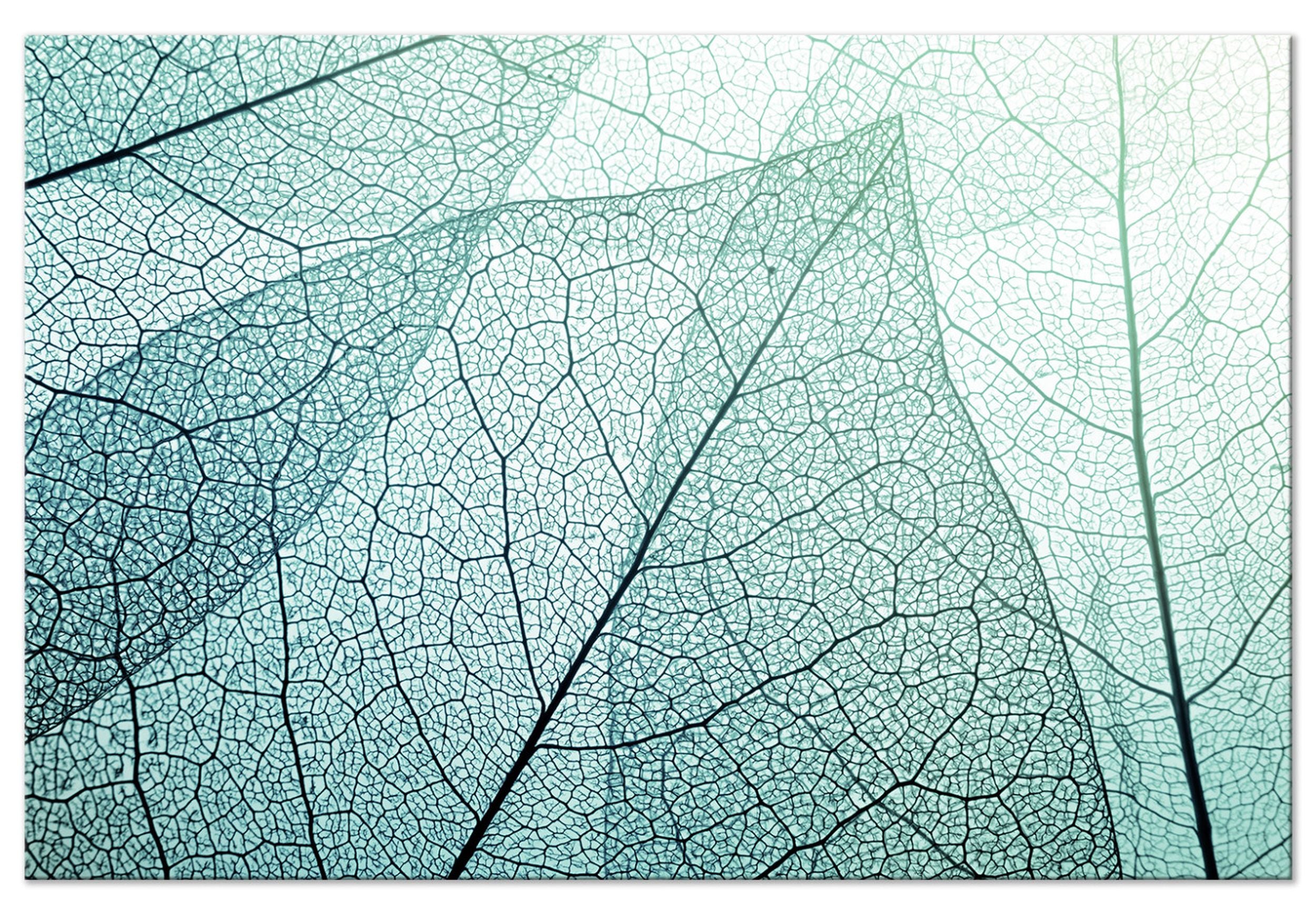 Obraz Makro flora jednoczęściowy 90x60 cm szeroki