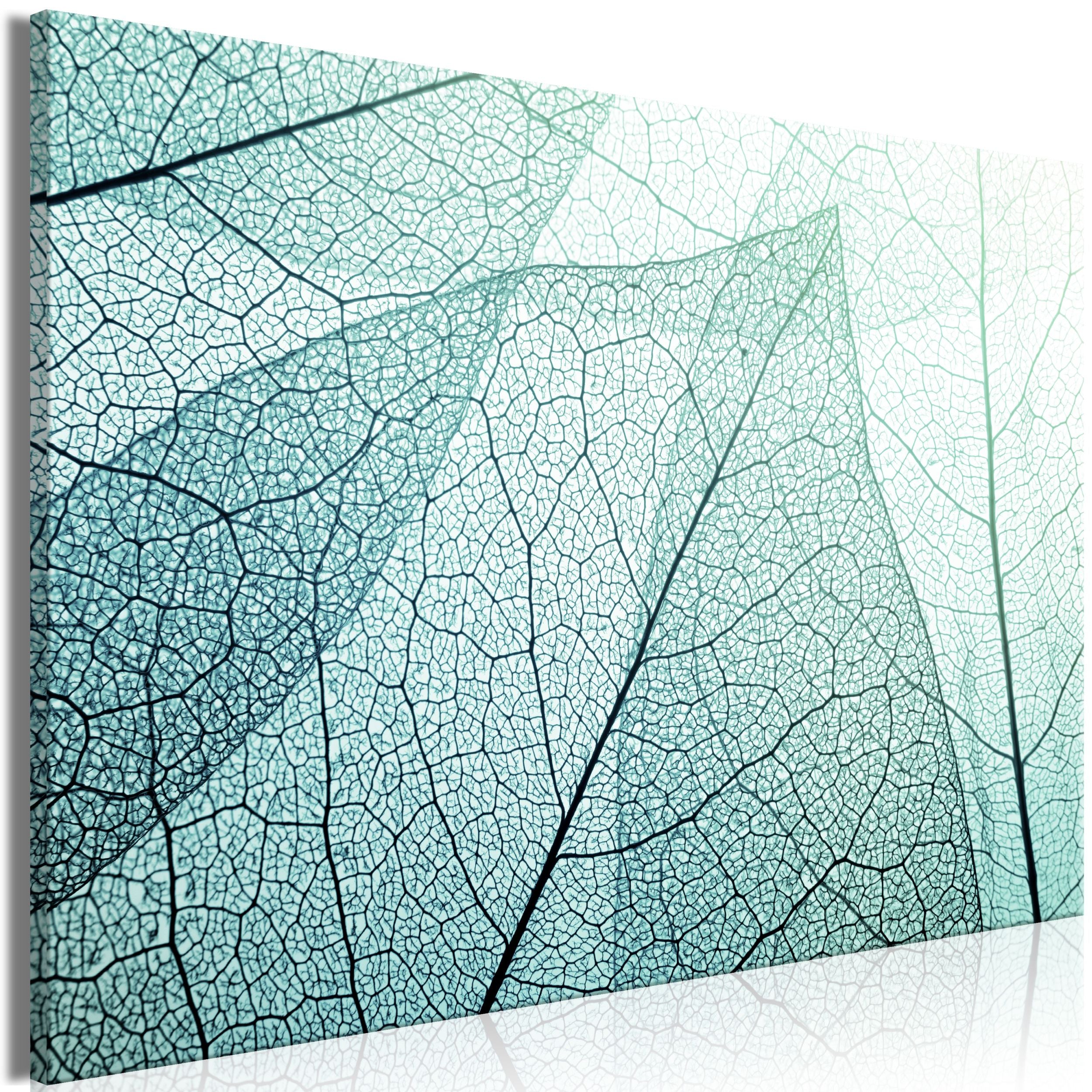 Obraz Makro flora jednoczęściowy 90x60 cm szeroki