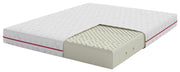 model55