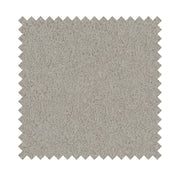 monte_11