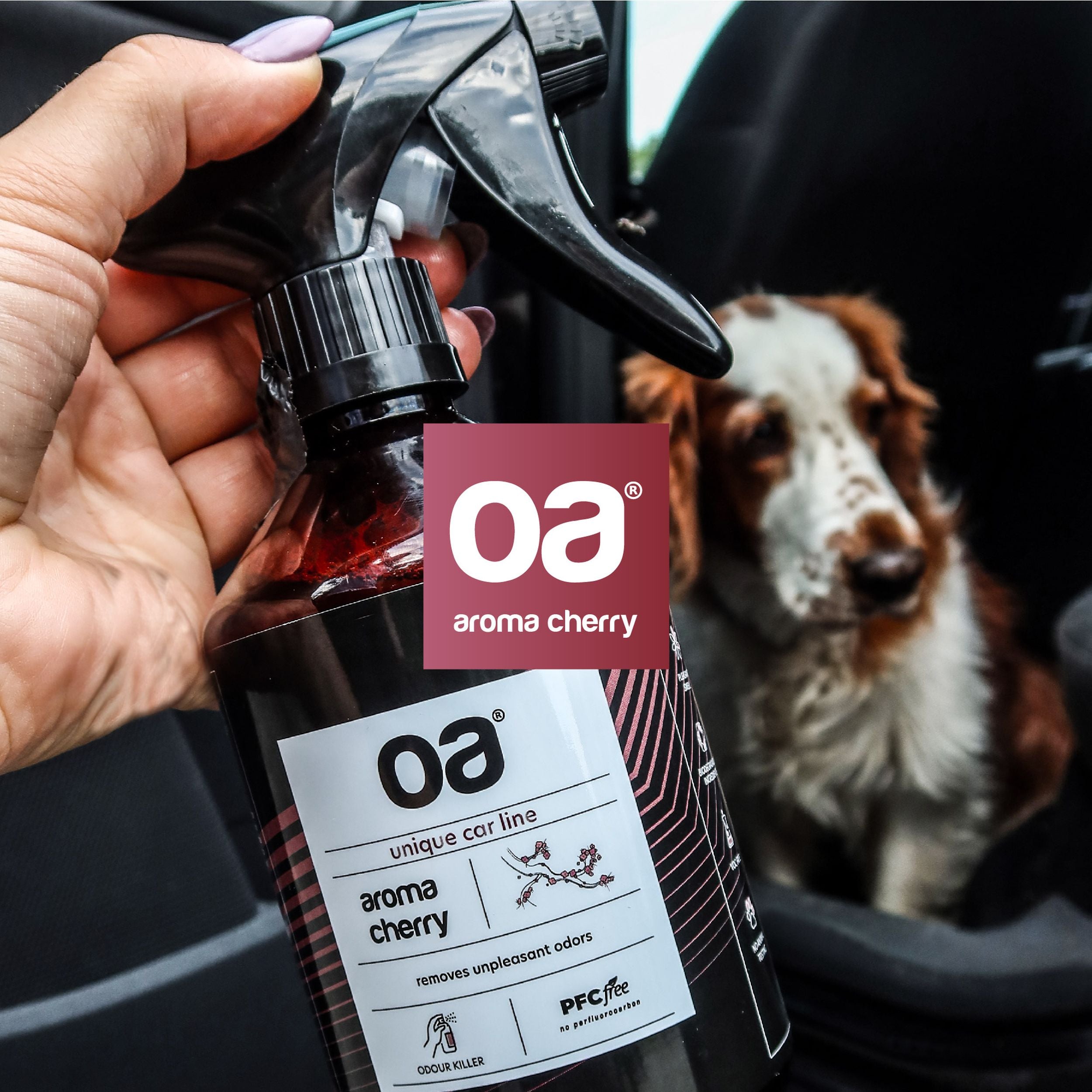 Preparat zwalczający i neutralizujący nieprzyjemne zapachy OA Car Aroma Cherry 250 ml