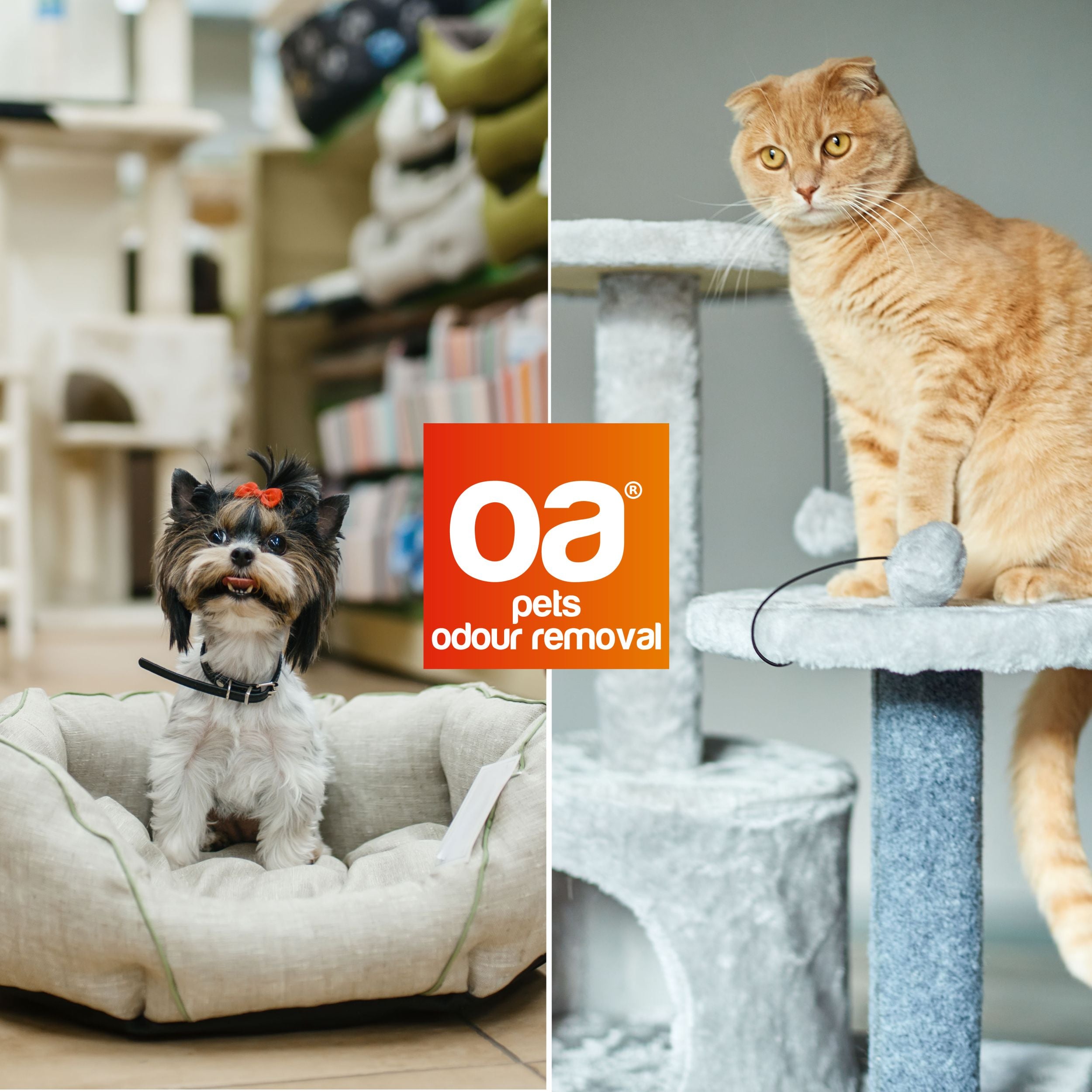 Neutralizator zapachów zwierzęcych OA Pets Odour Removal 500 ml