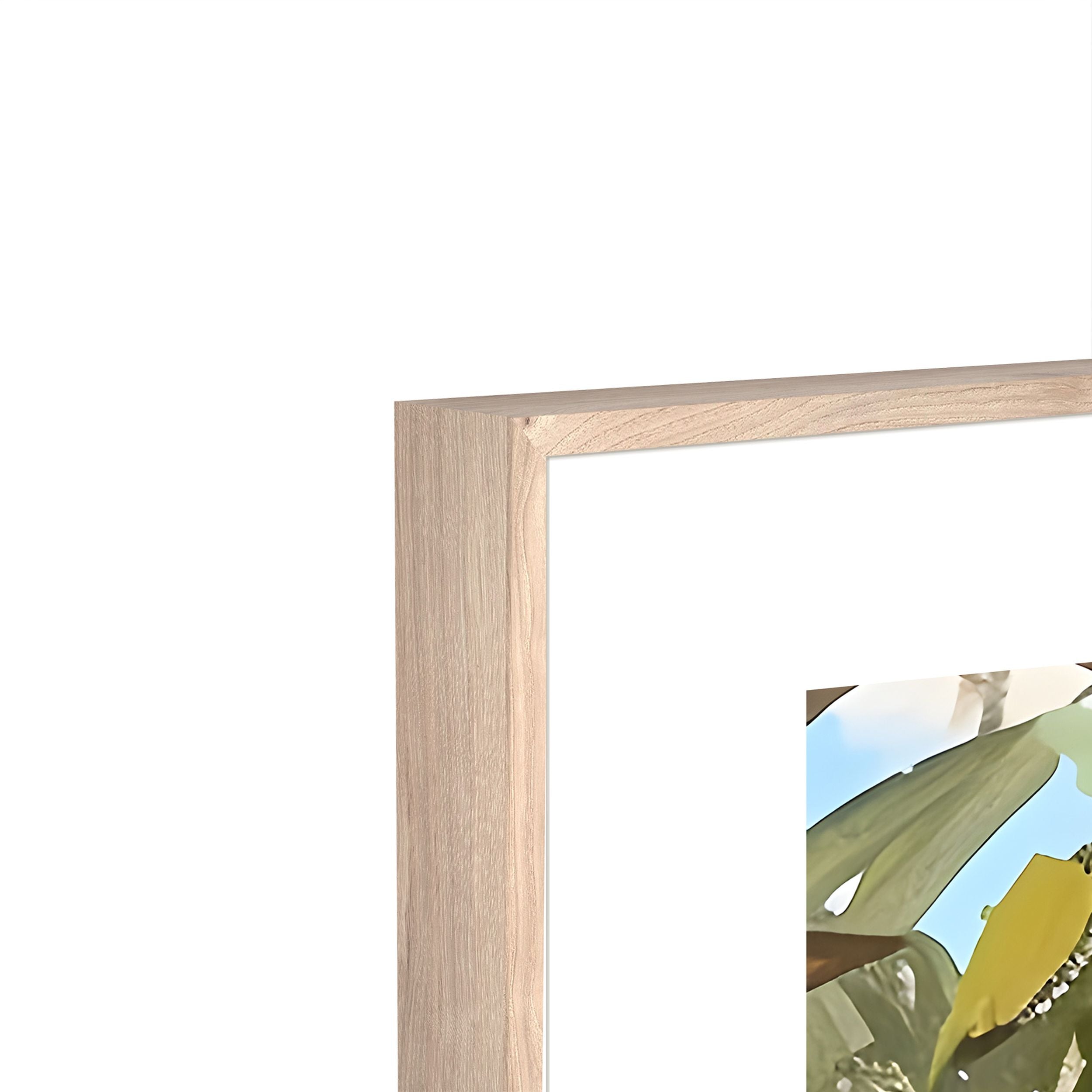 Obraz w ramie Balcony II 70x50 cm