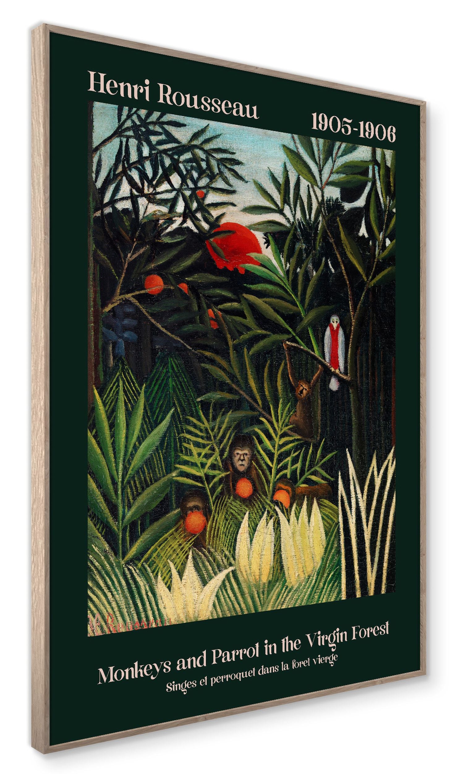 Obraz w ramie Virgin Forest 70x50 cm