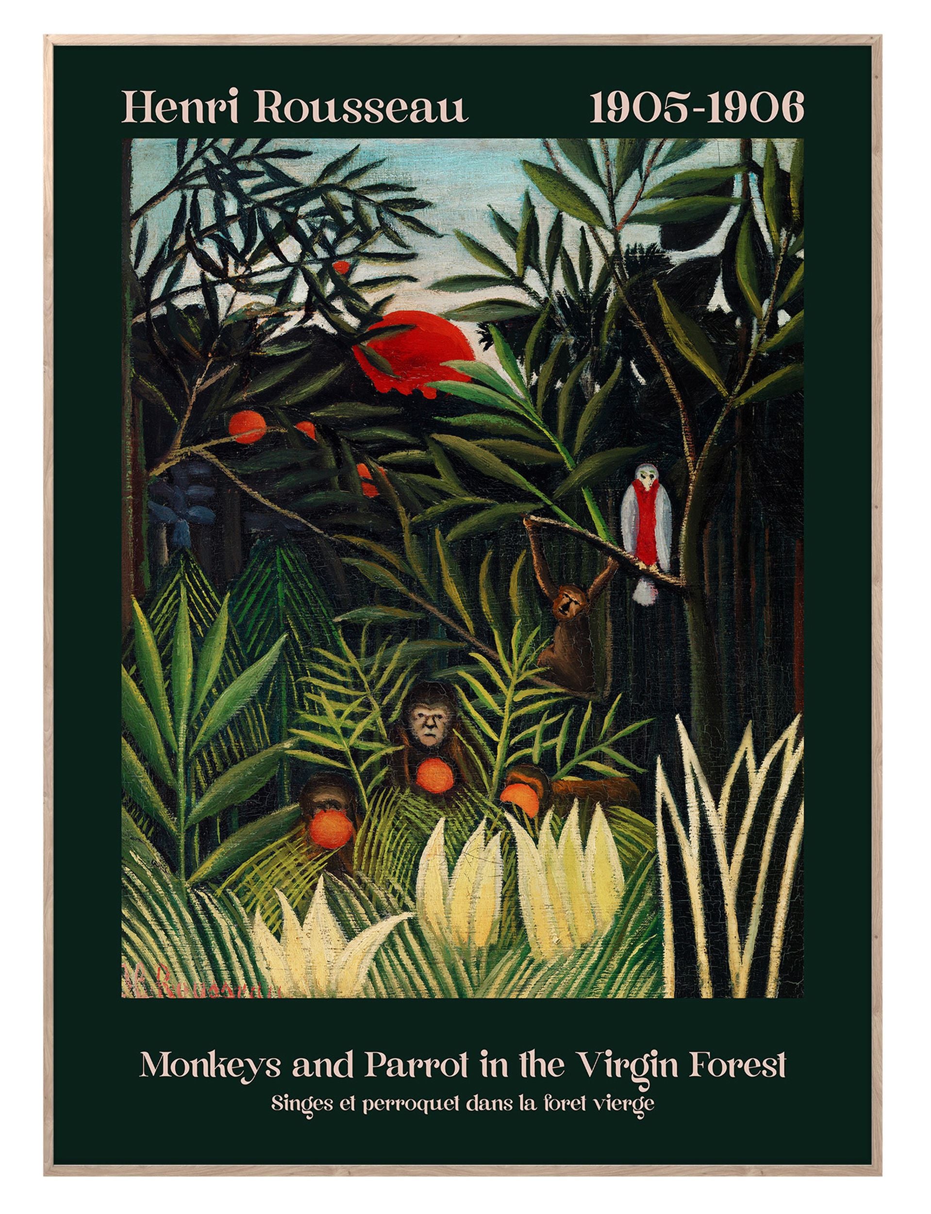 Obraz w ramie Virgin Forest 70x50 cm